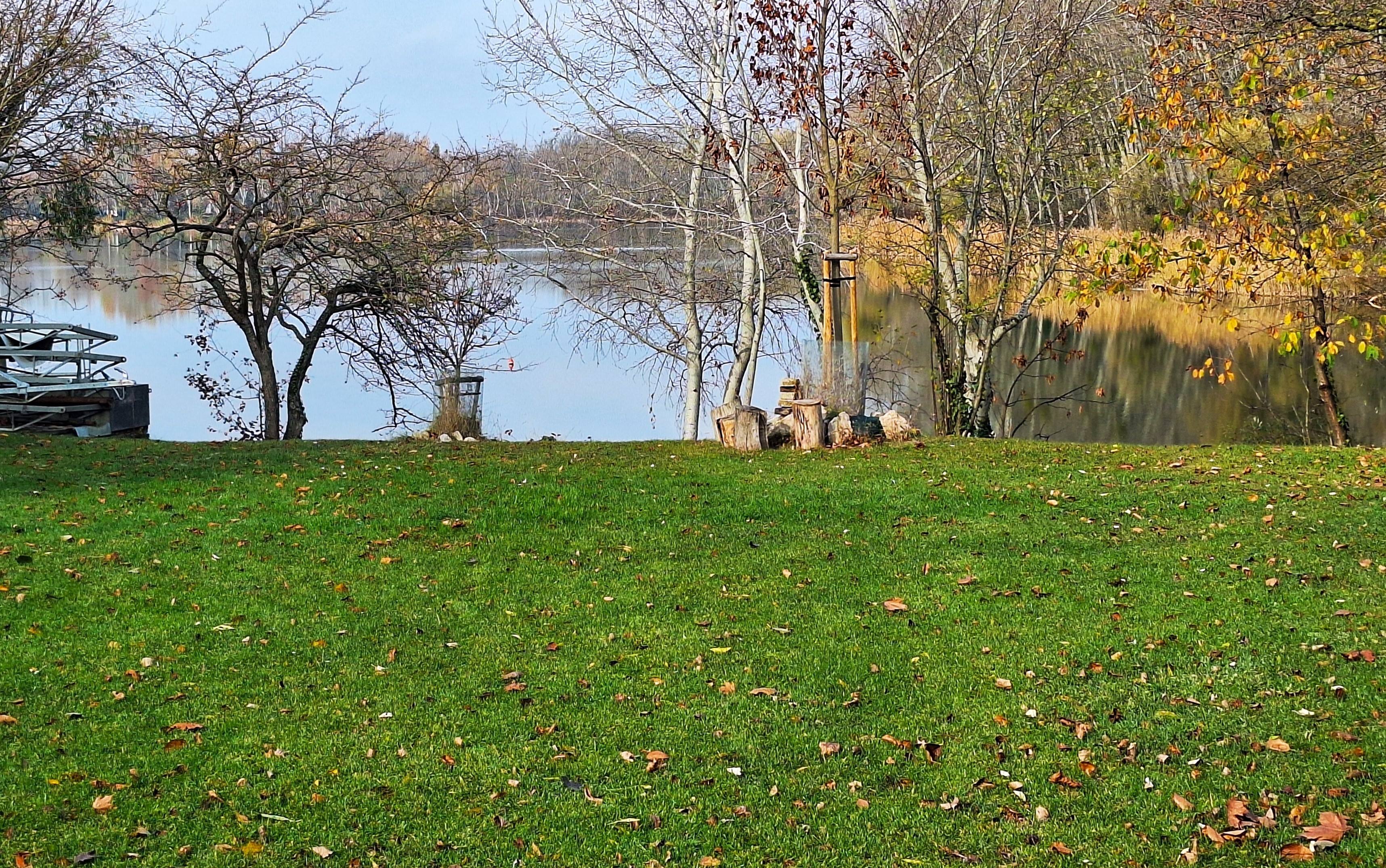 20251109_122827.jpg
