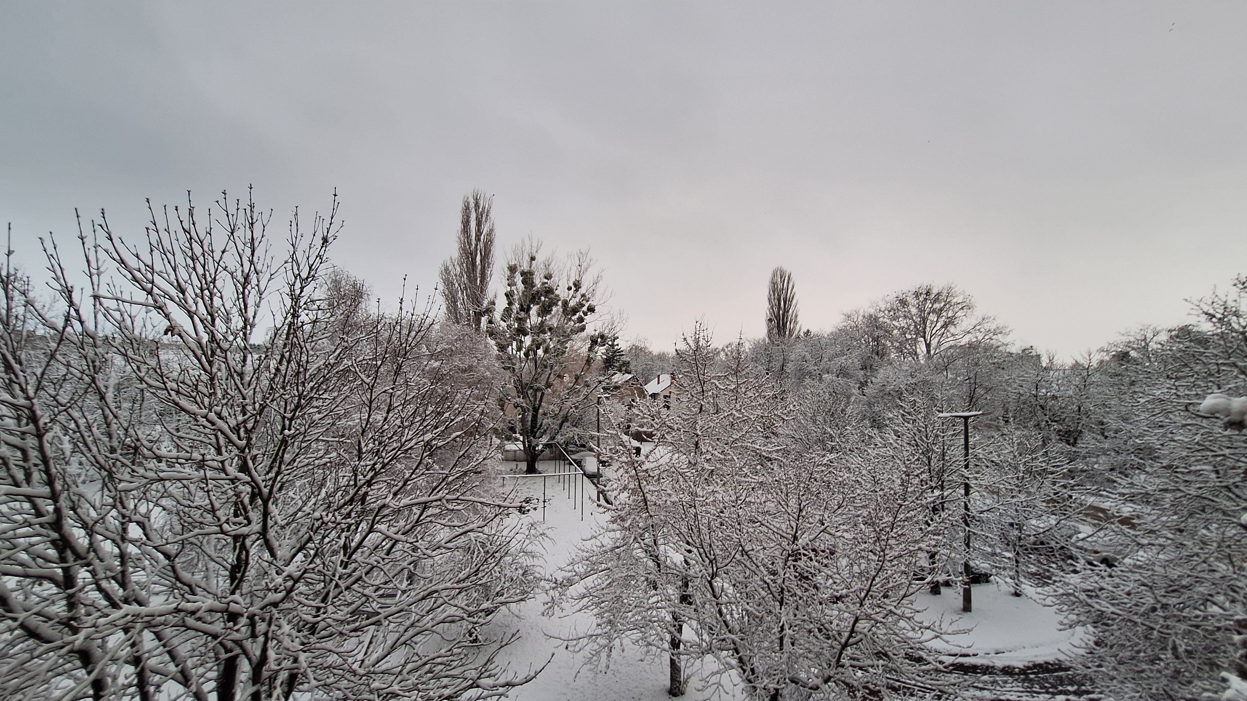 20251123_072020.jpg