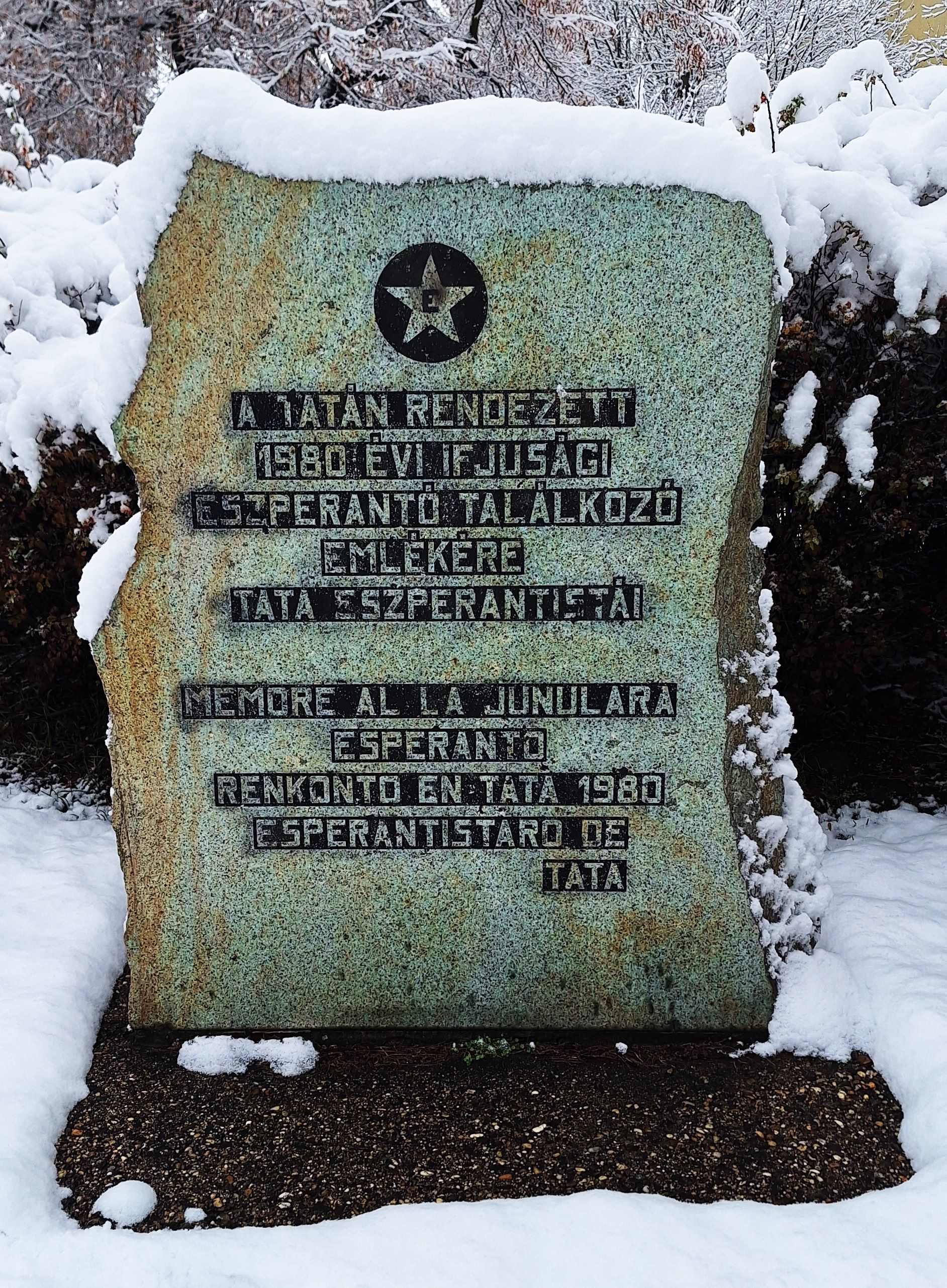 20251123_092926.jpg