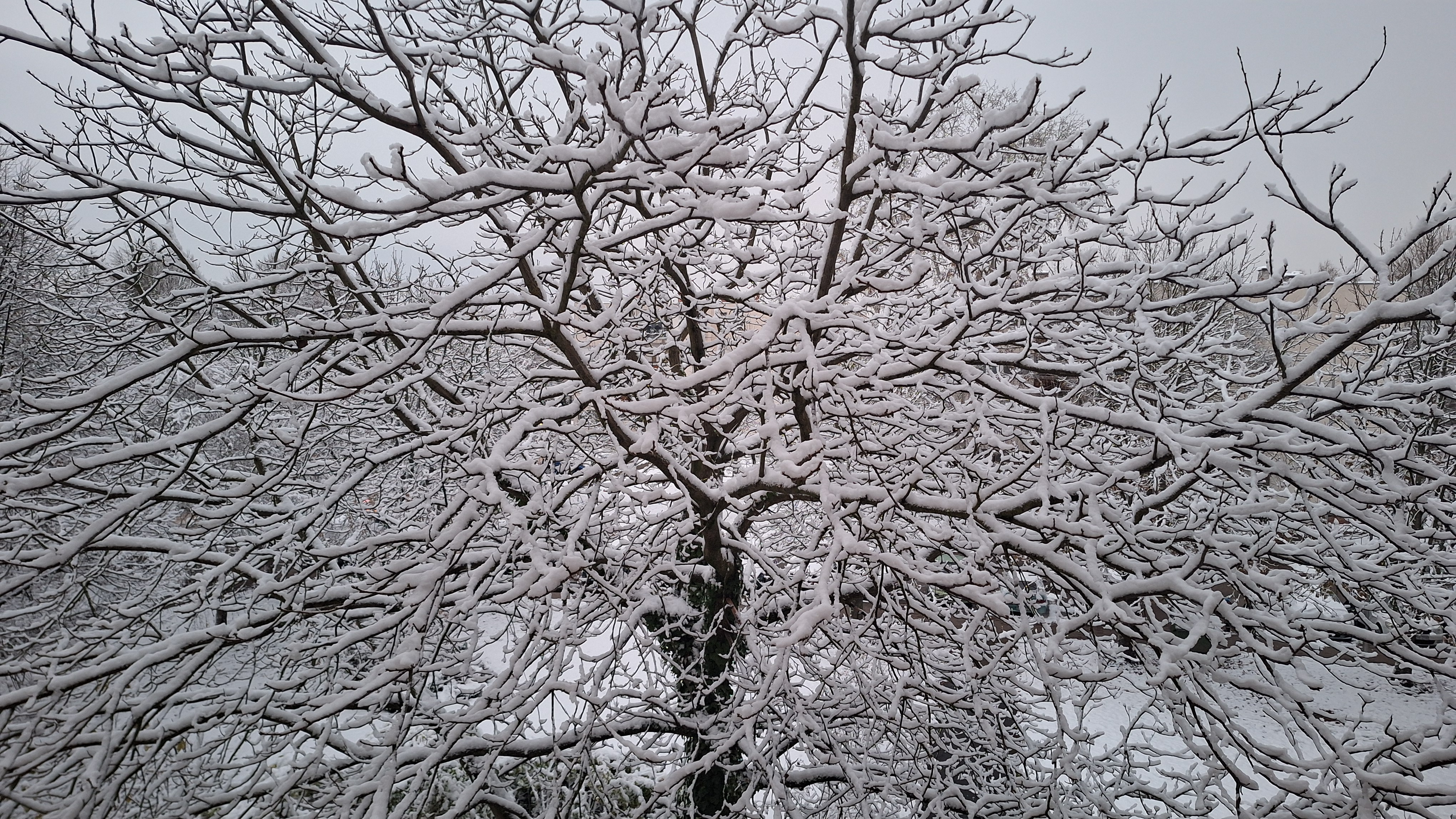 20251123_161224.jpg
