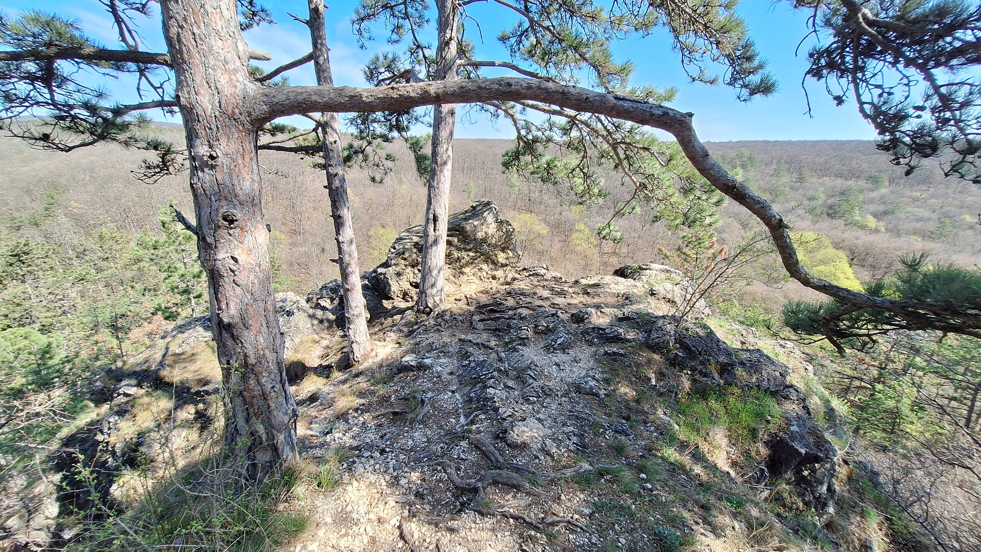 2025_04_05_koloska-volgy_32.jpg