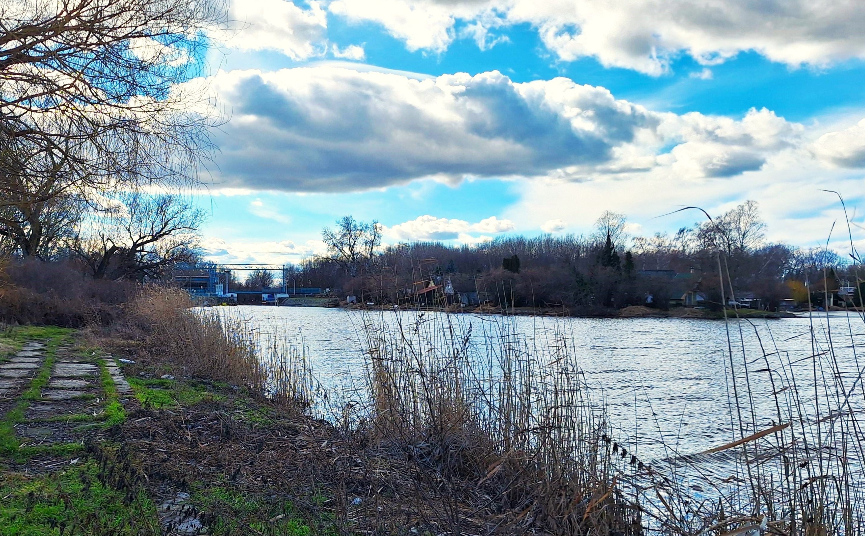 20260213_122124.jpg