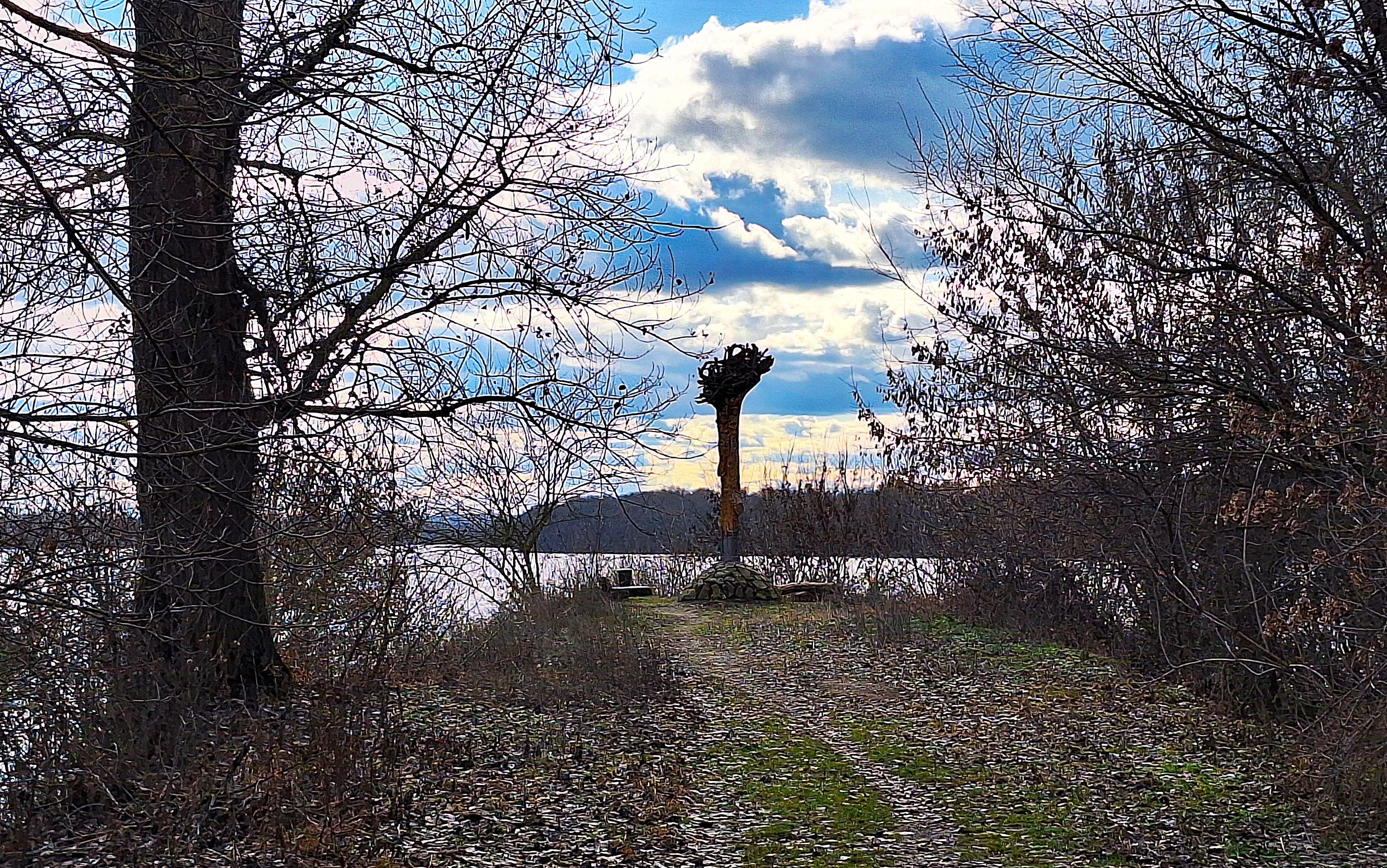 20260213_132130.jpg
