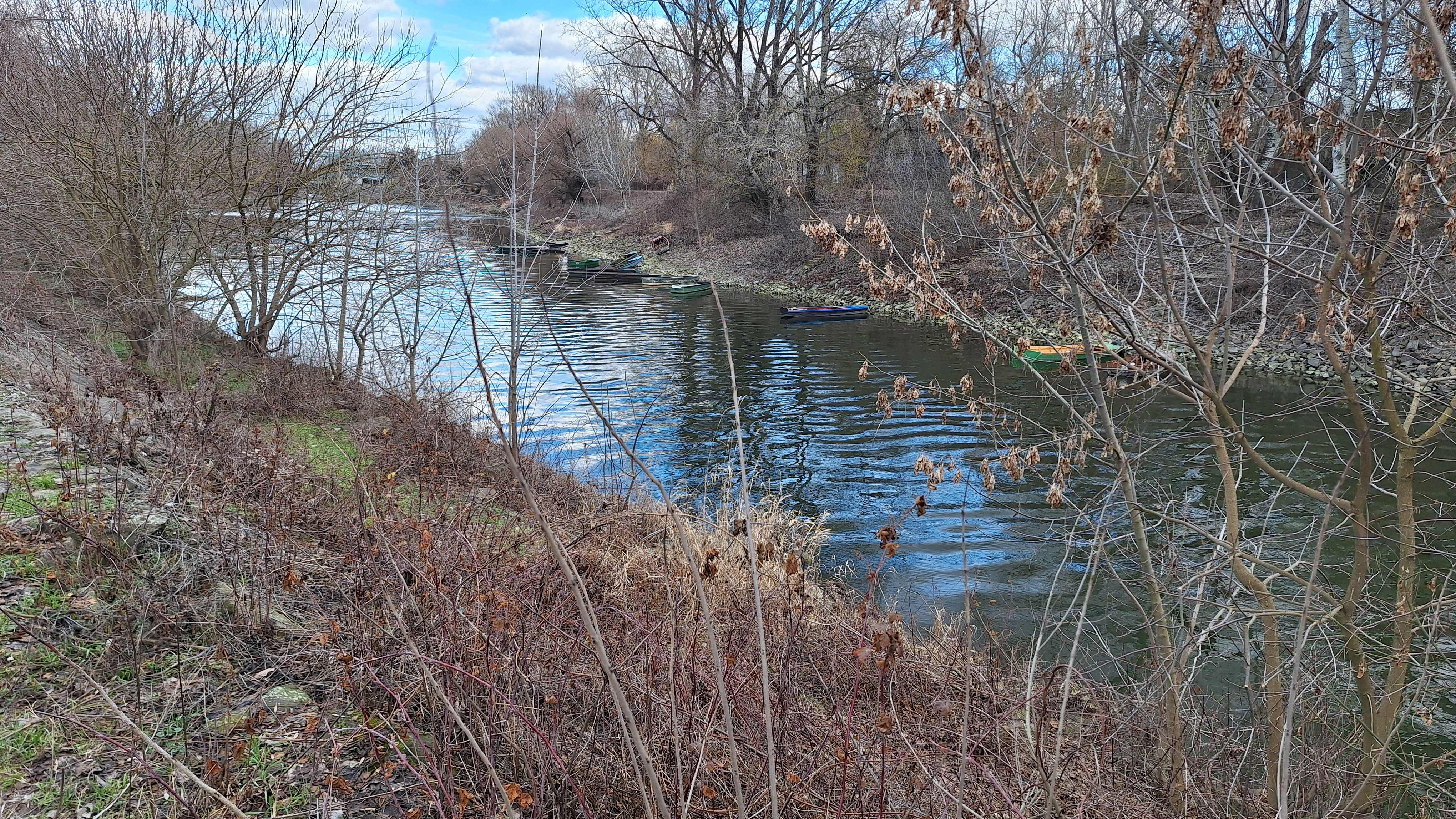 20260213_132911.jpg