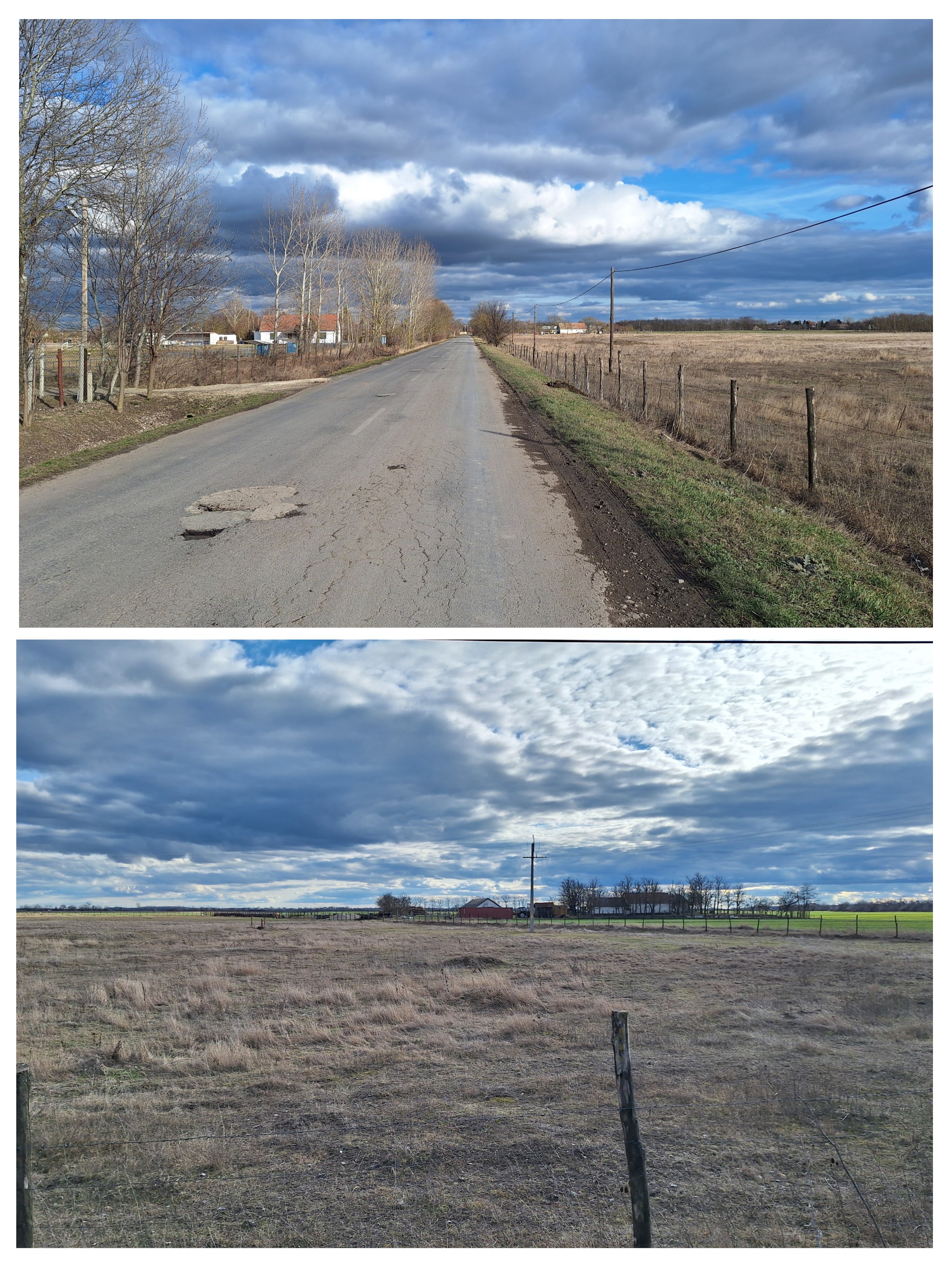 20260213_203628-collage.jpg