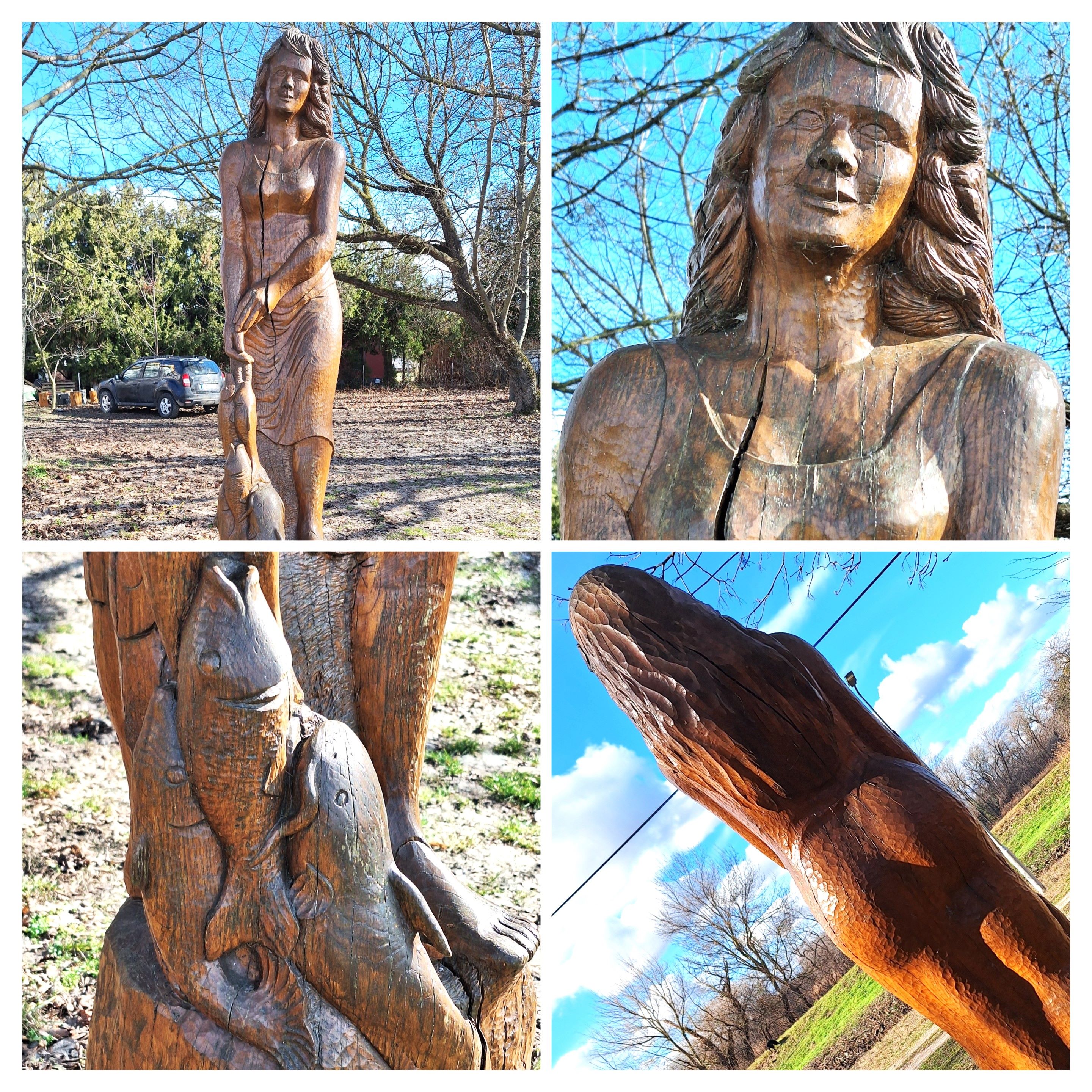 20260216_073857-collage.jpg