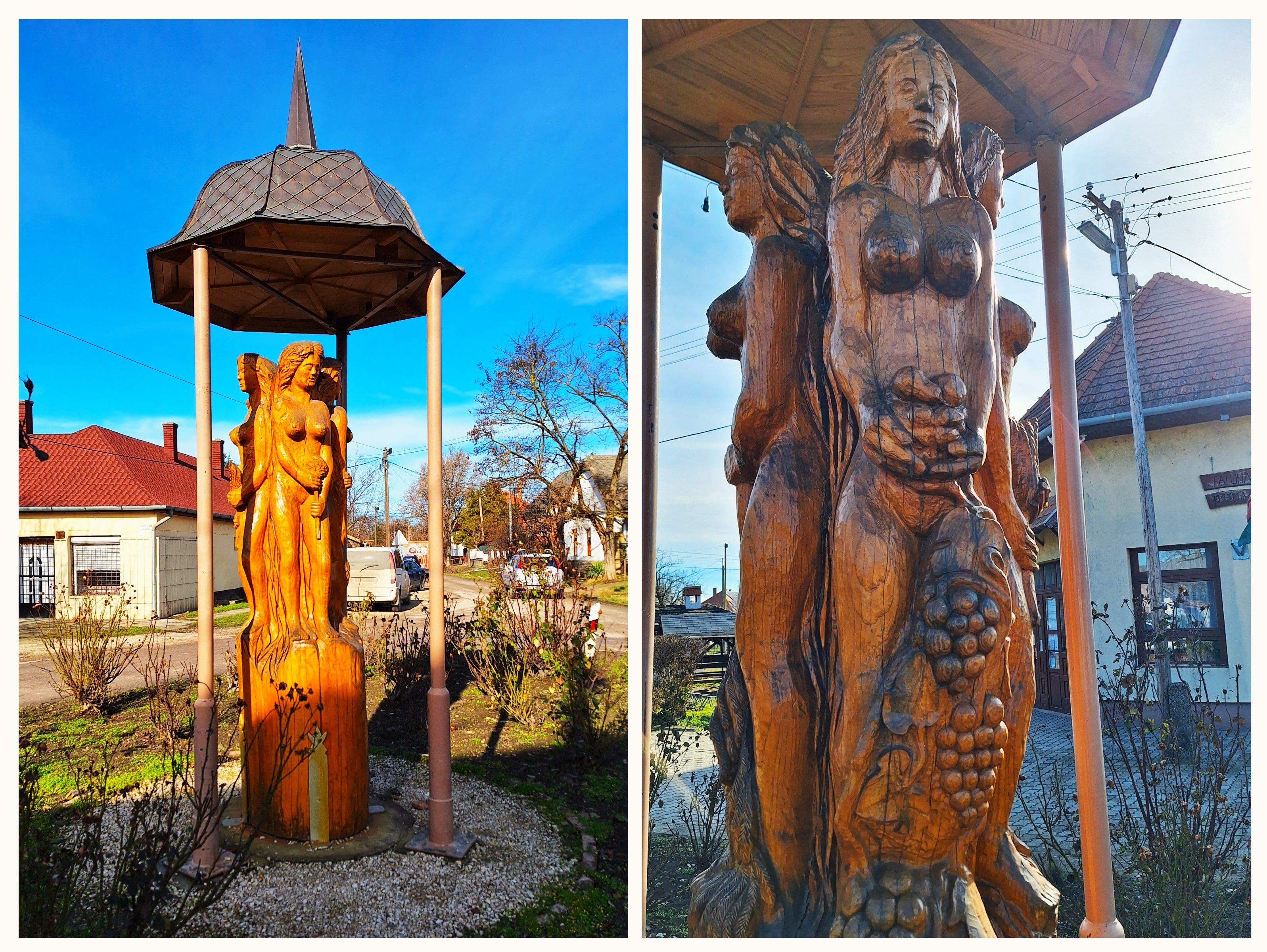 20260216_094048-collage.jpg