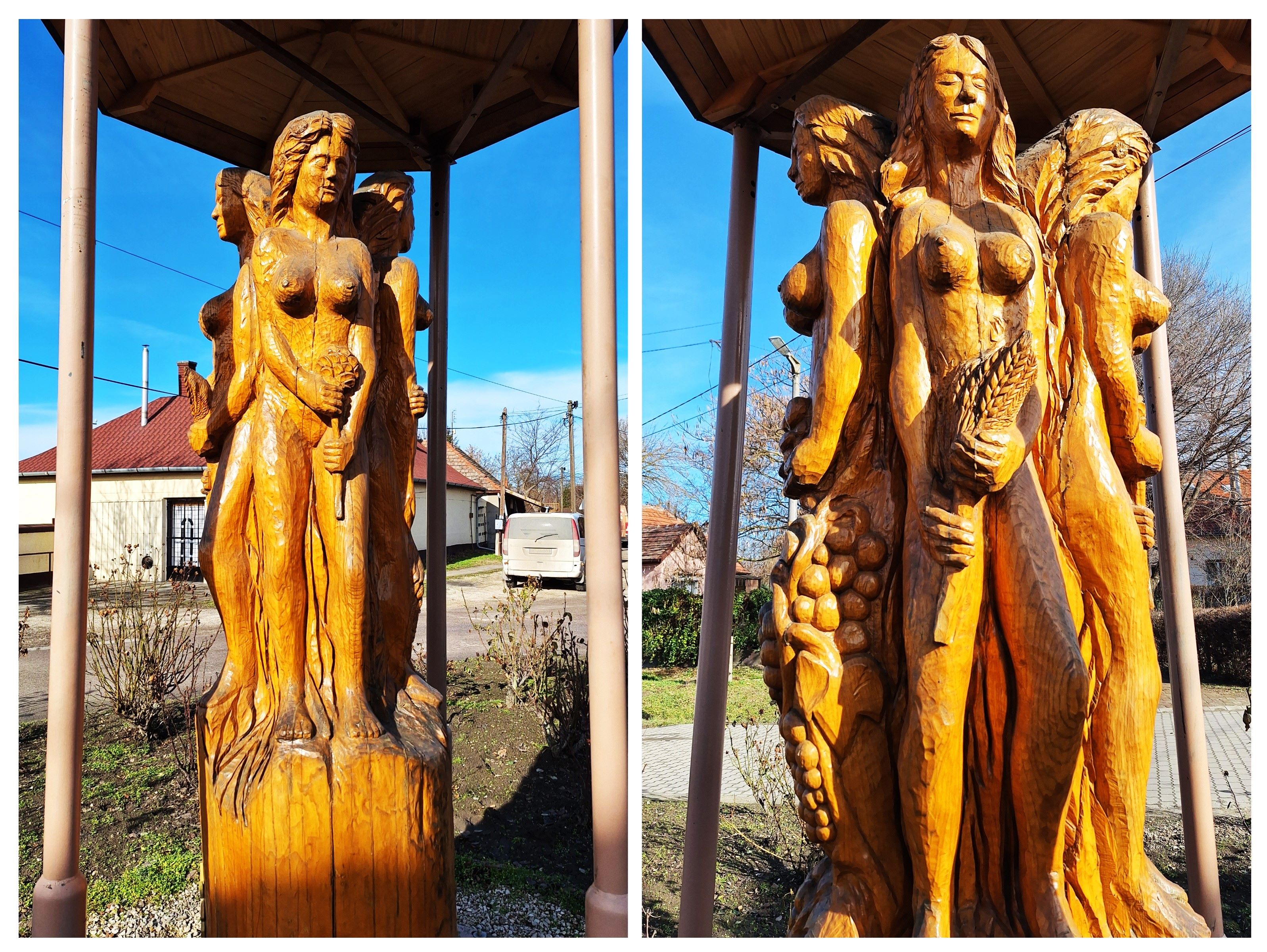 20260216_094131-collage.jpg