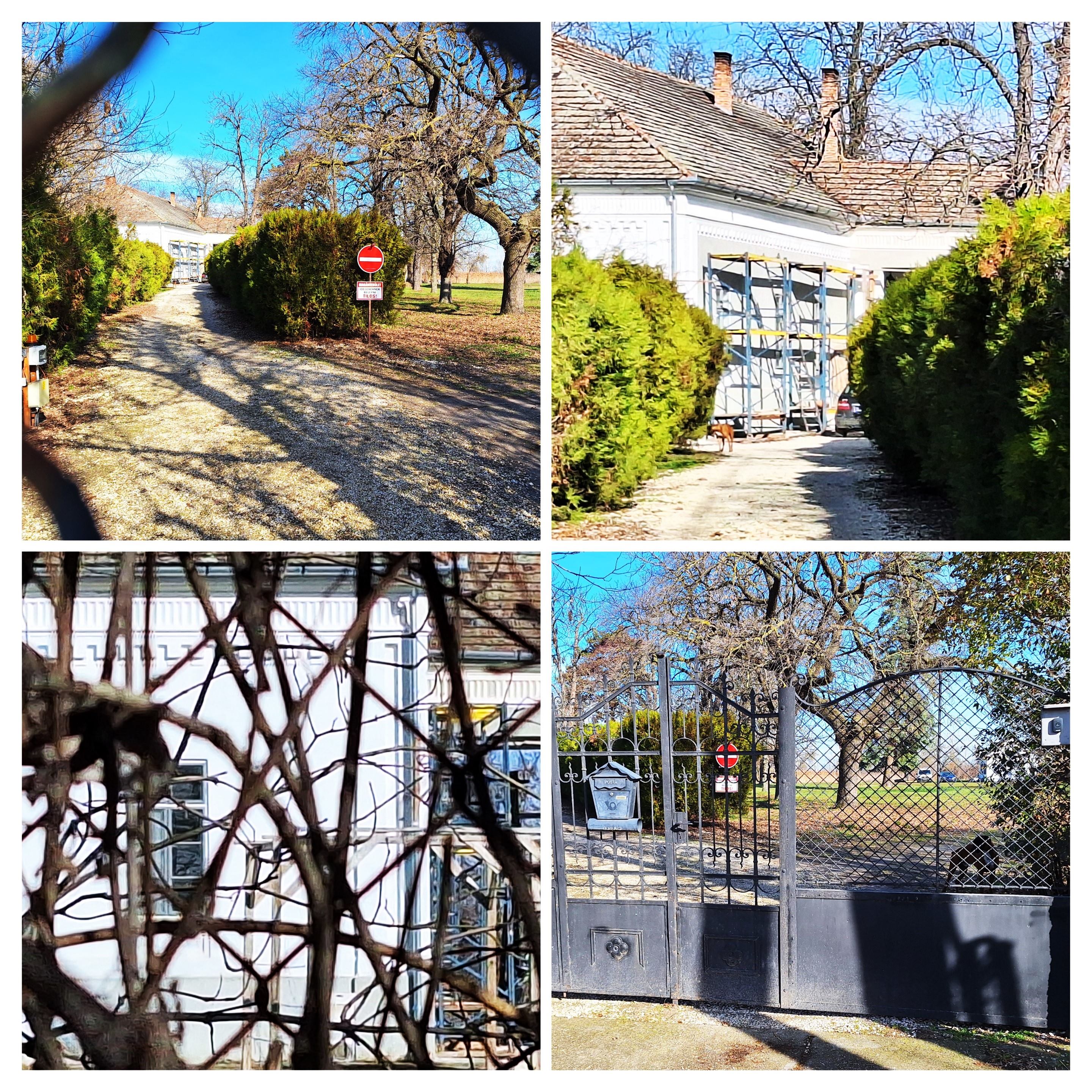 20260216_095143-collage.jpg