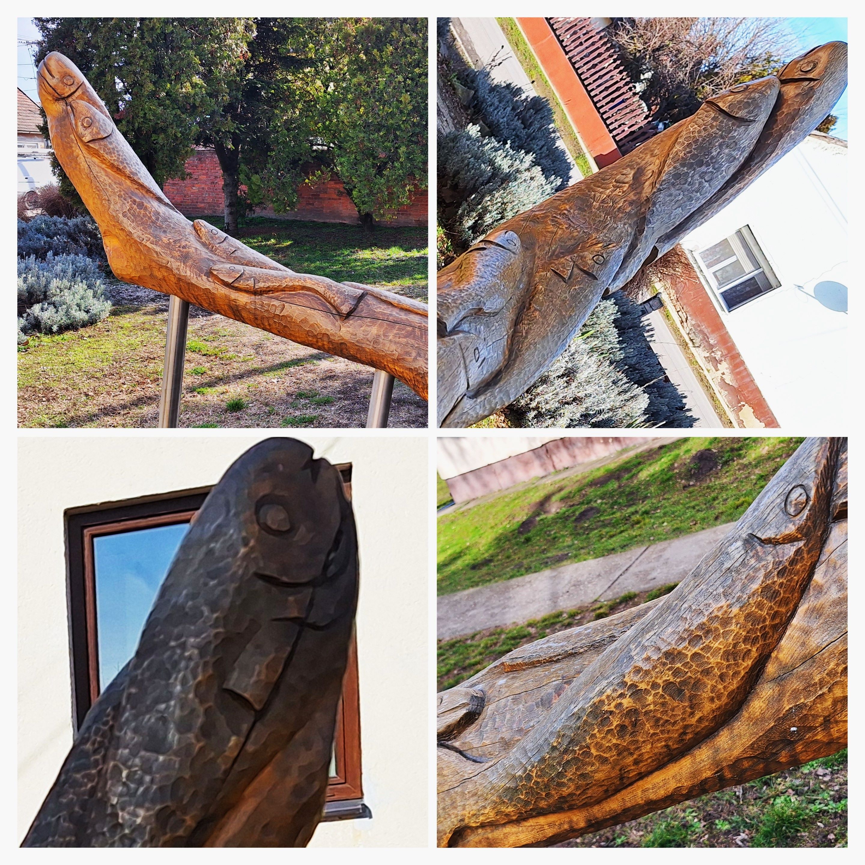 20260216_100753-collage.jpg