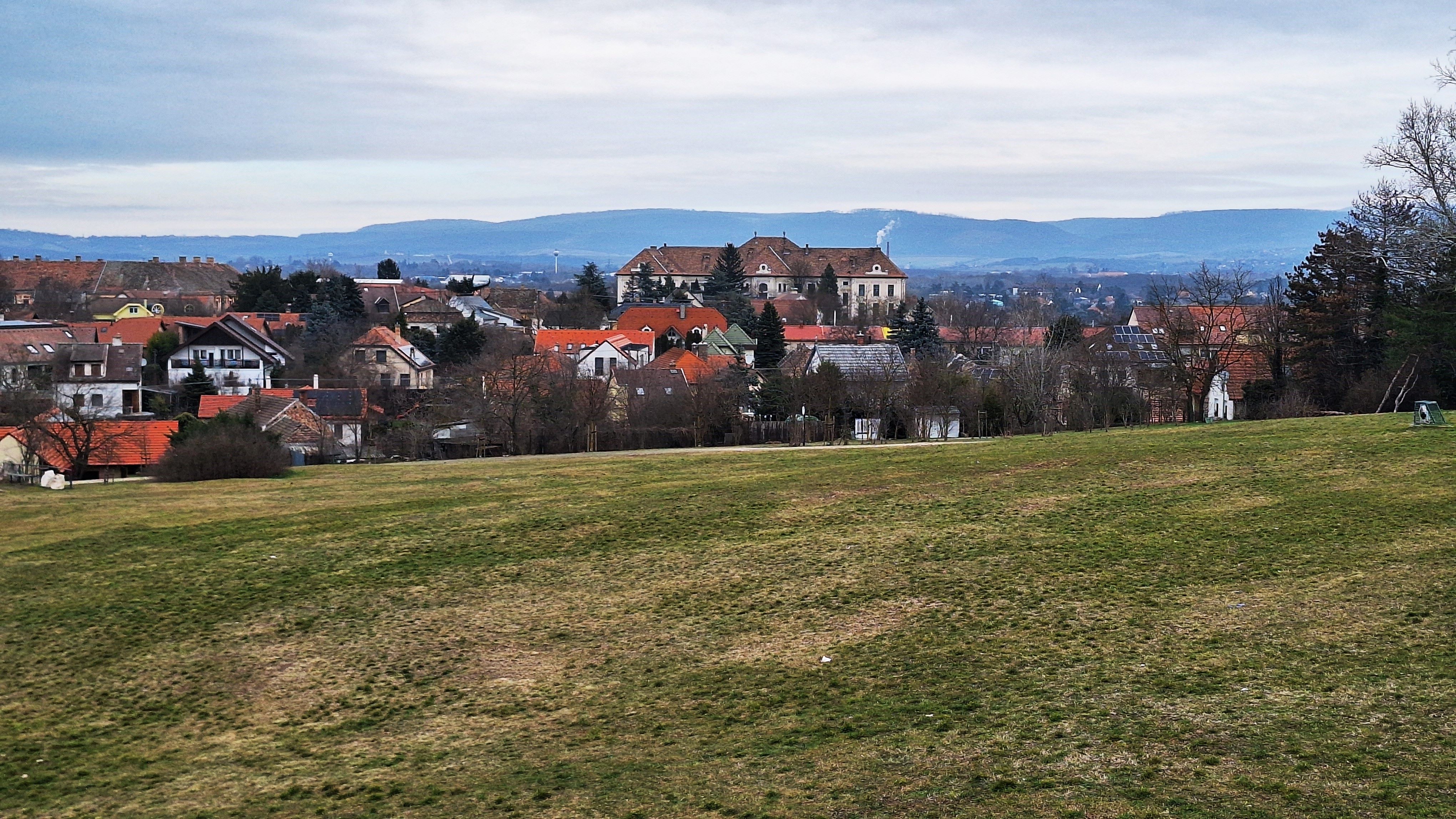 20260221_102337.jpg