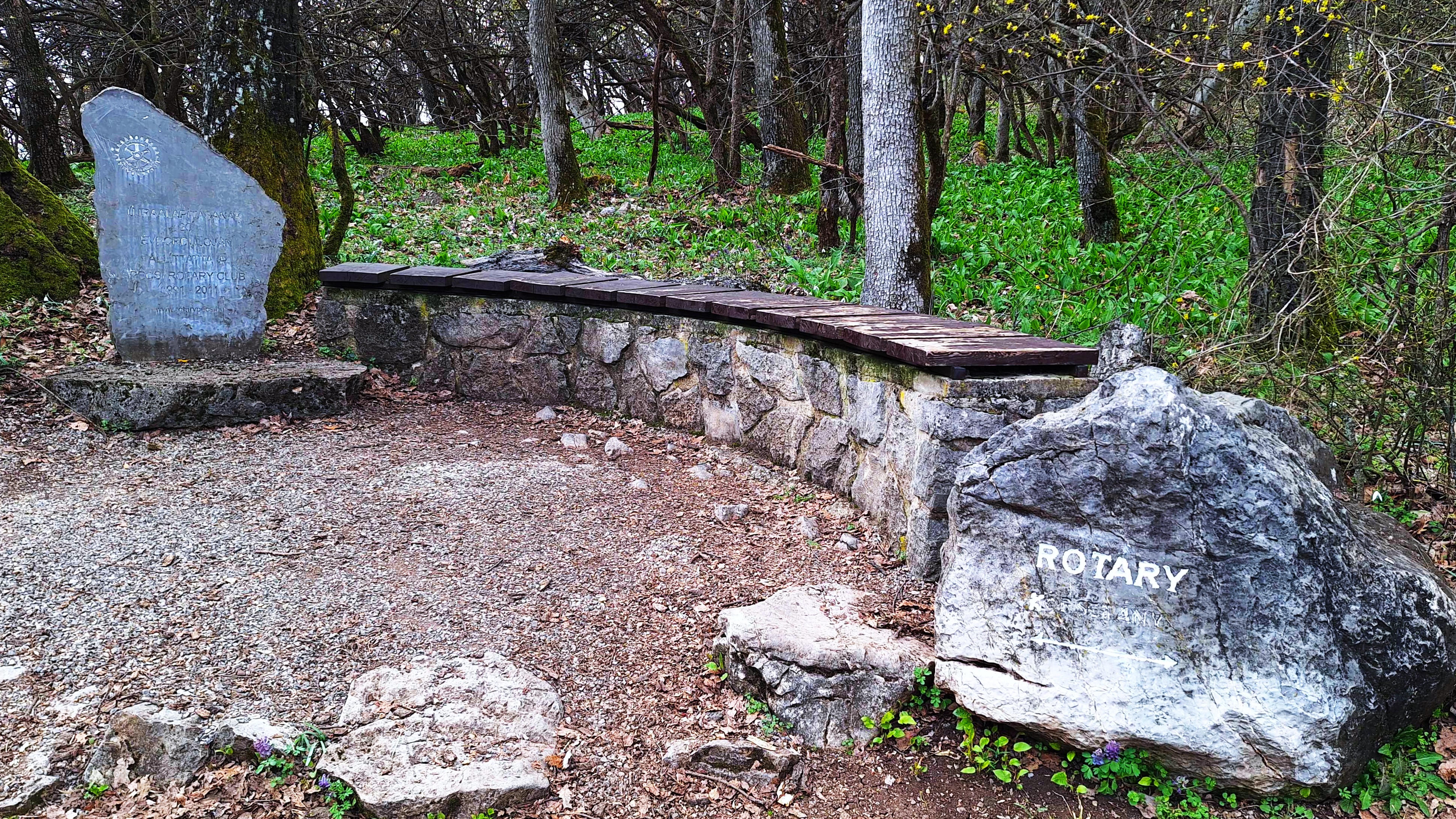 20260312_122547.jpg