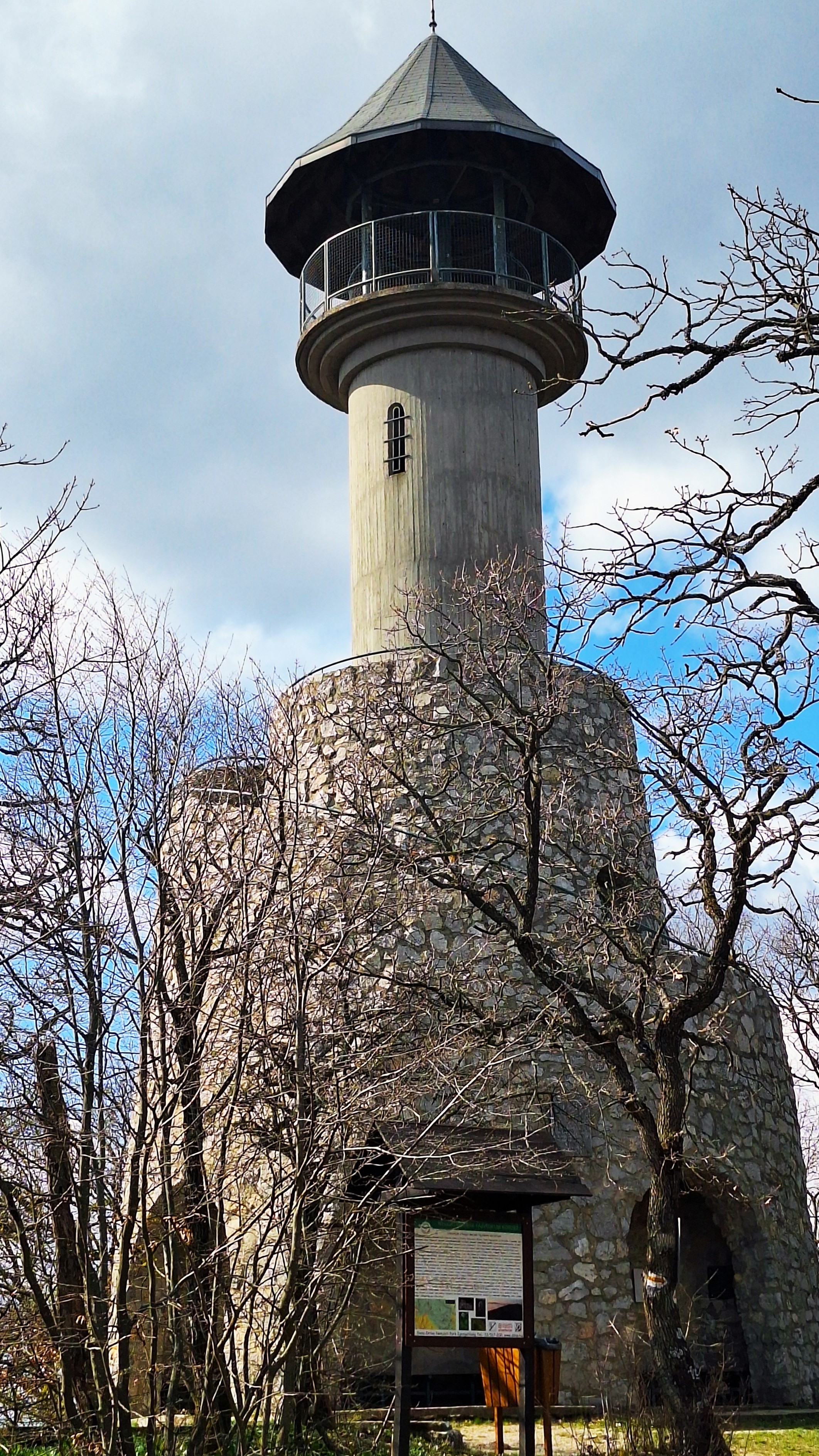 20260312_125004.jpg
