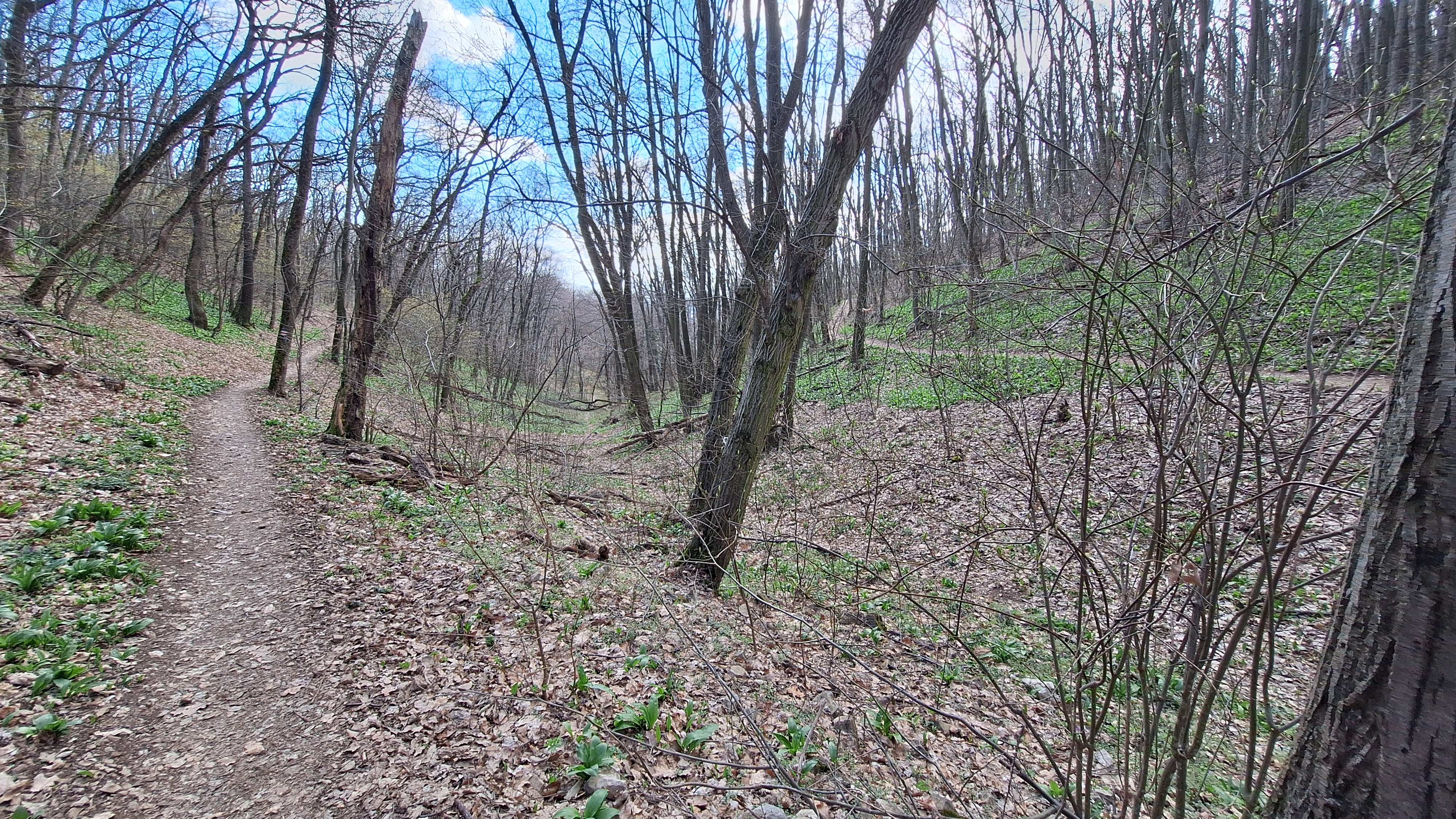 20260312_134820.jpg