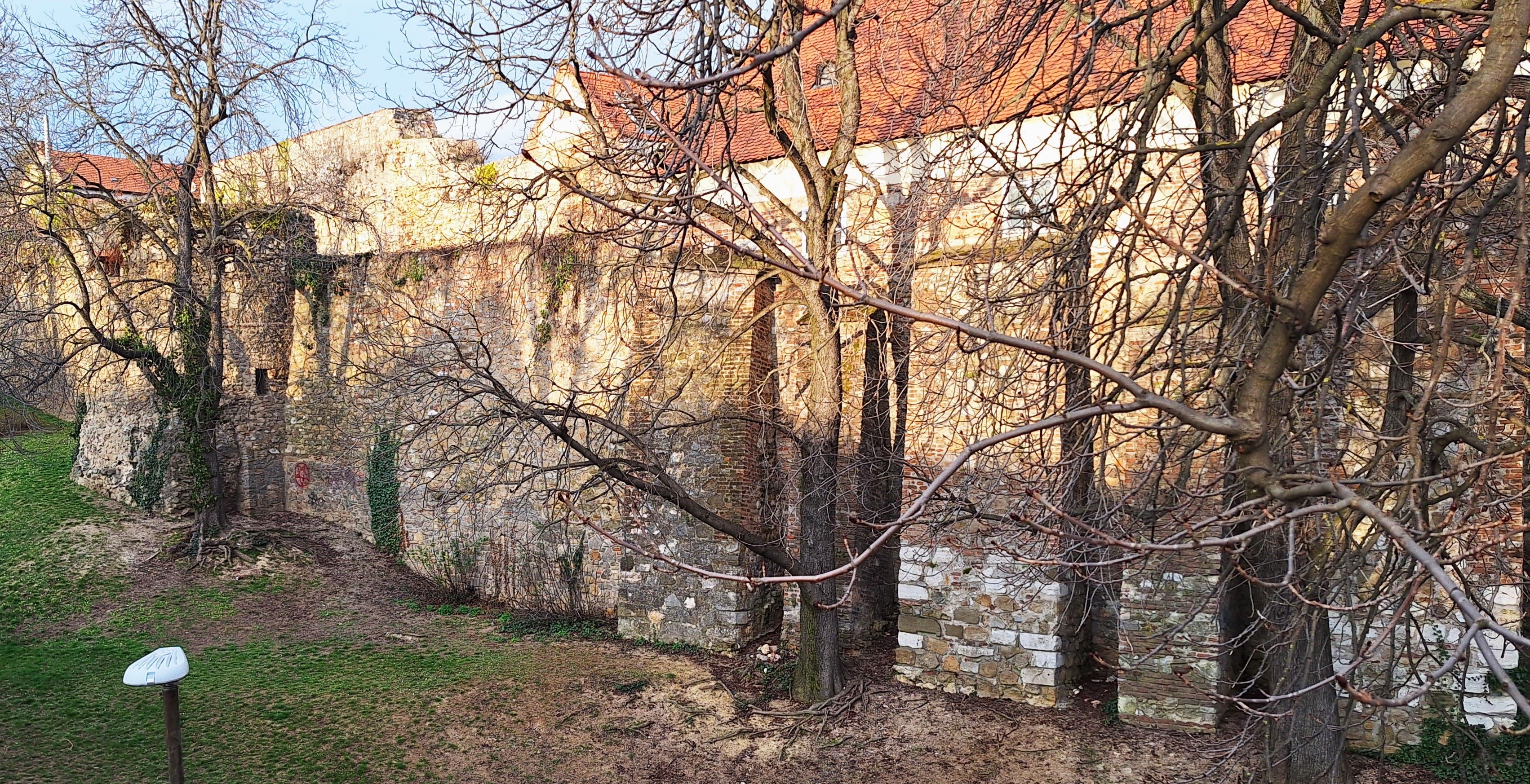 20260312_164100.jpg