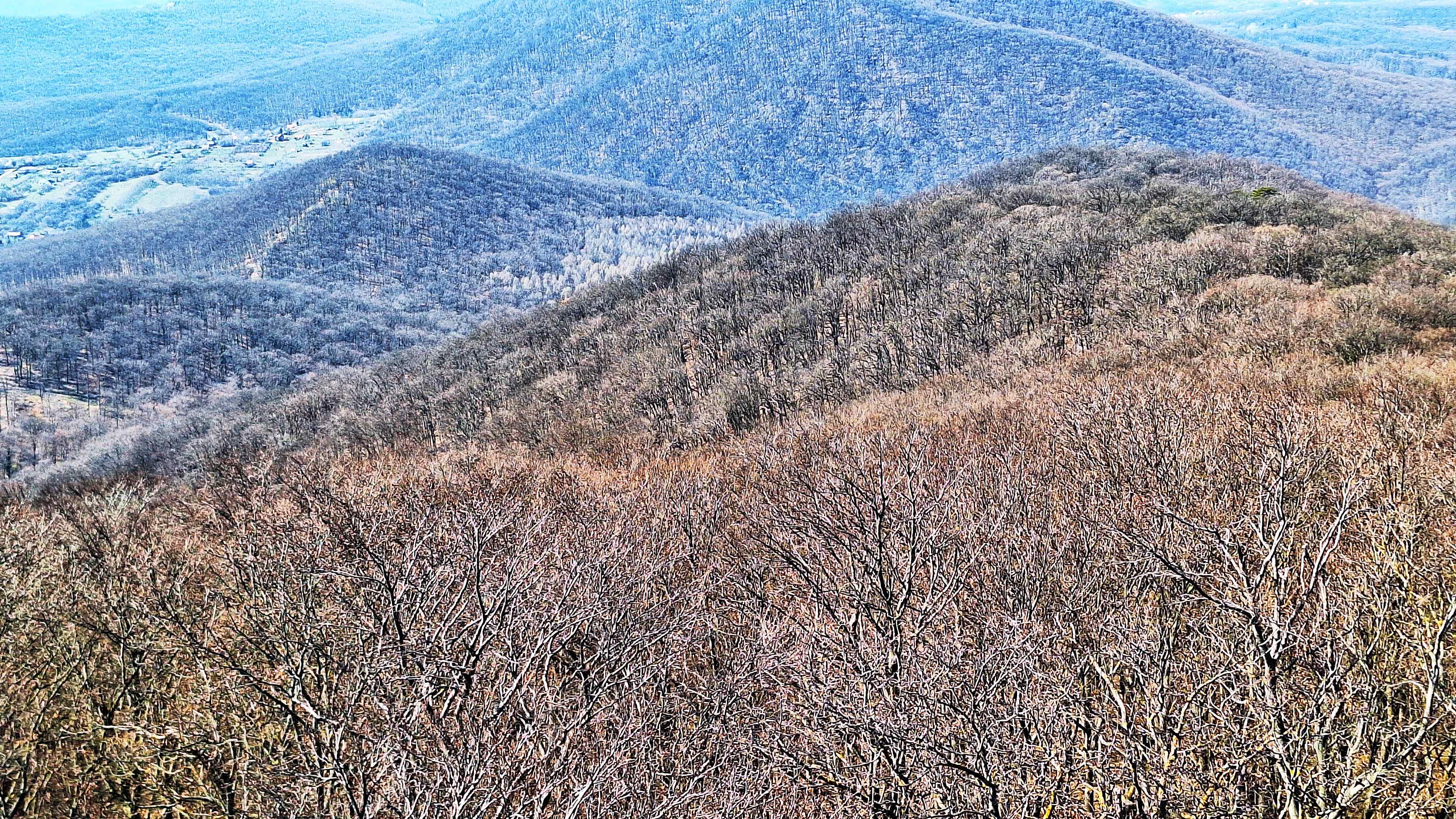 20260313_115401.jpg