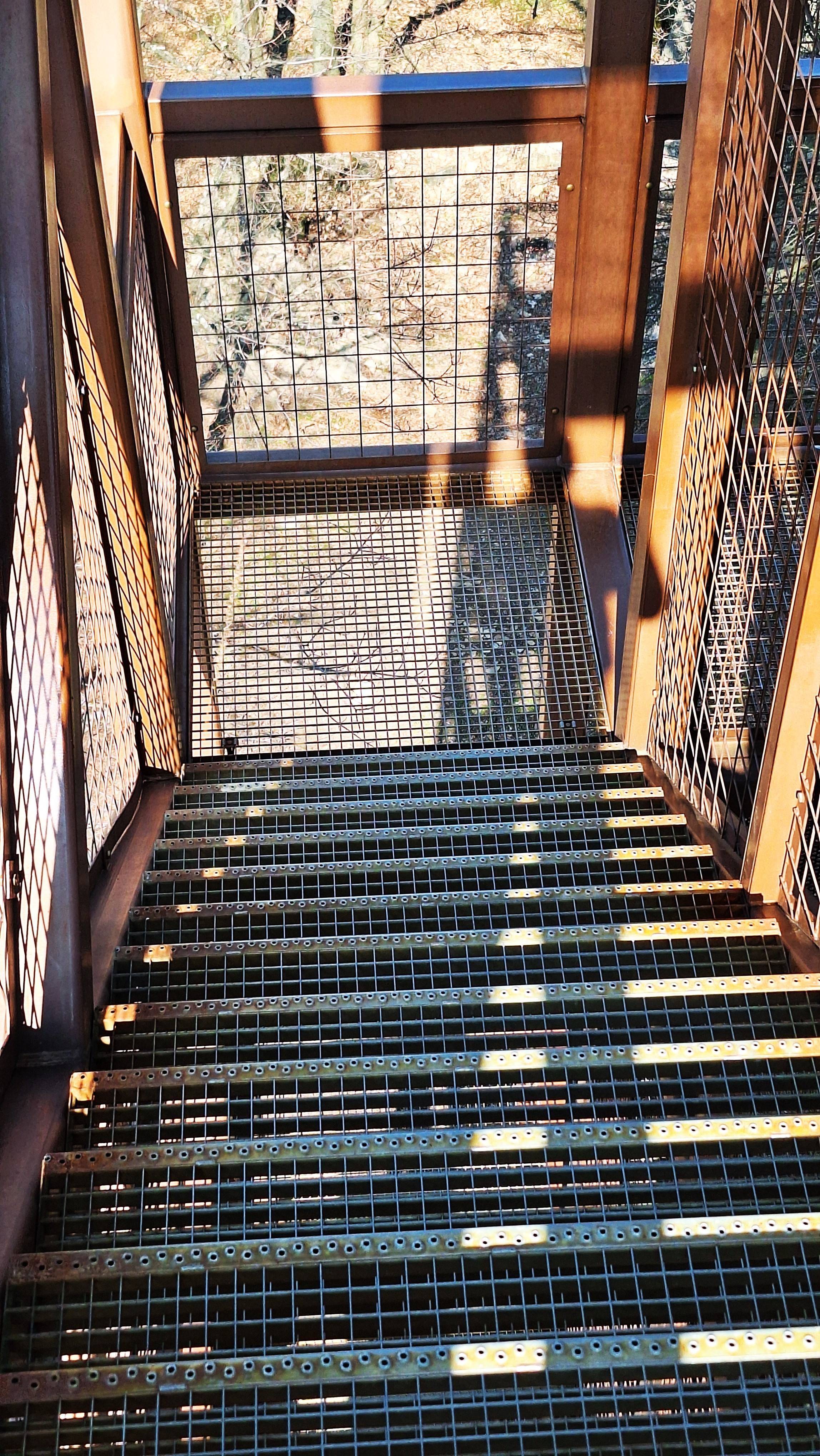 20260313_115501.jpg