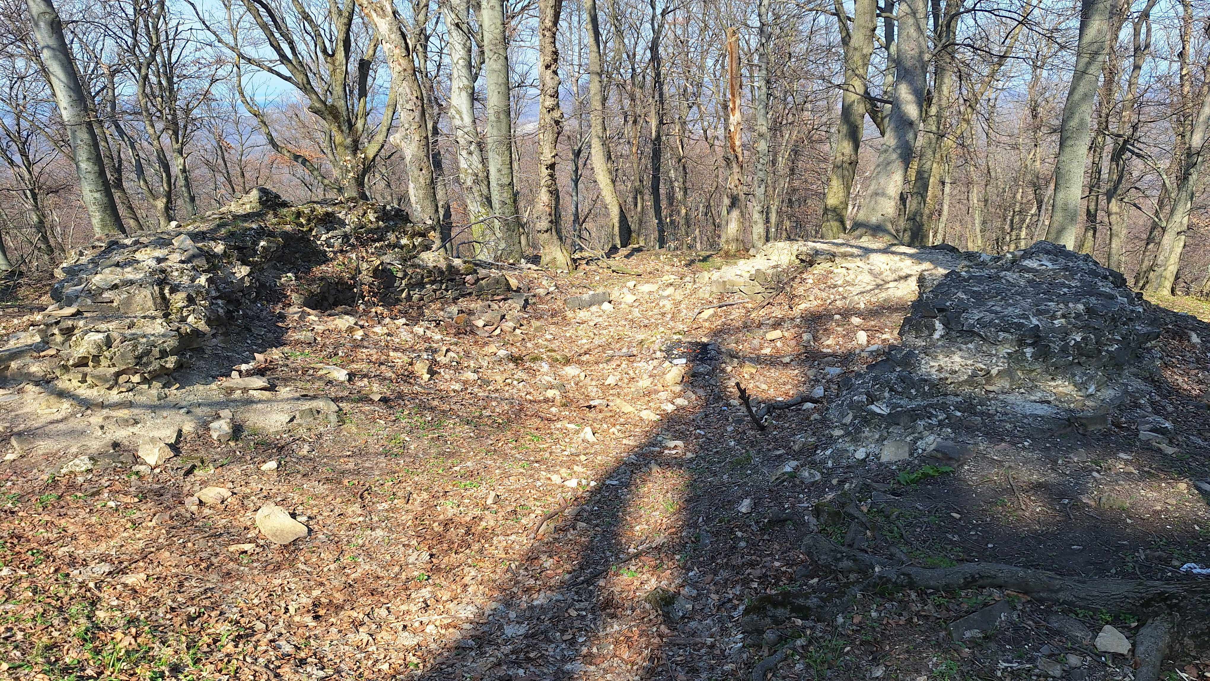 20260313_120006.jpg
