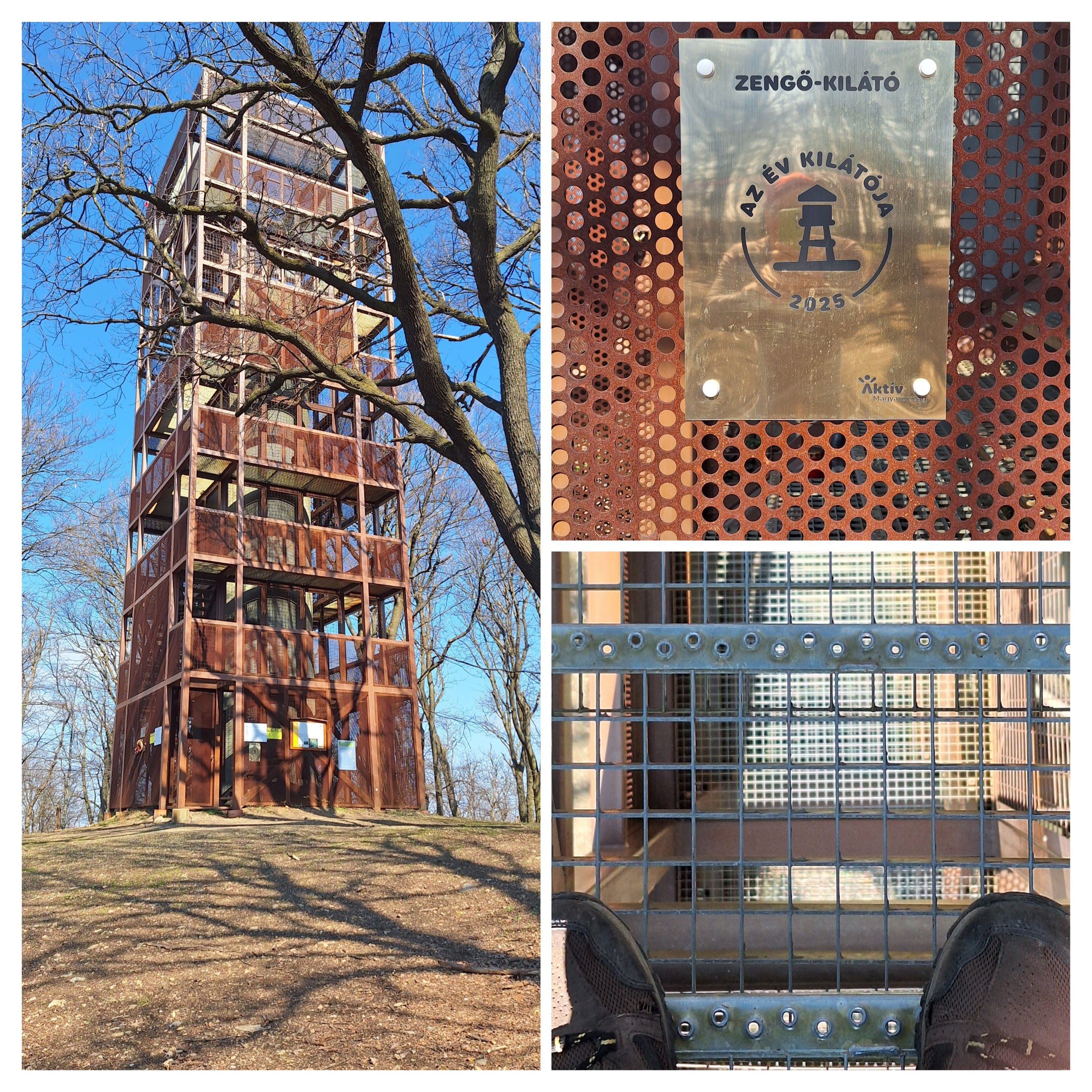 20260315_204543-collage.jpg