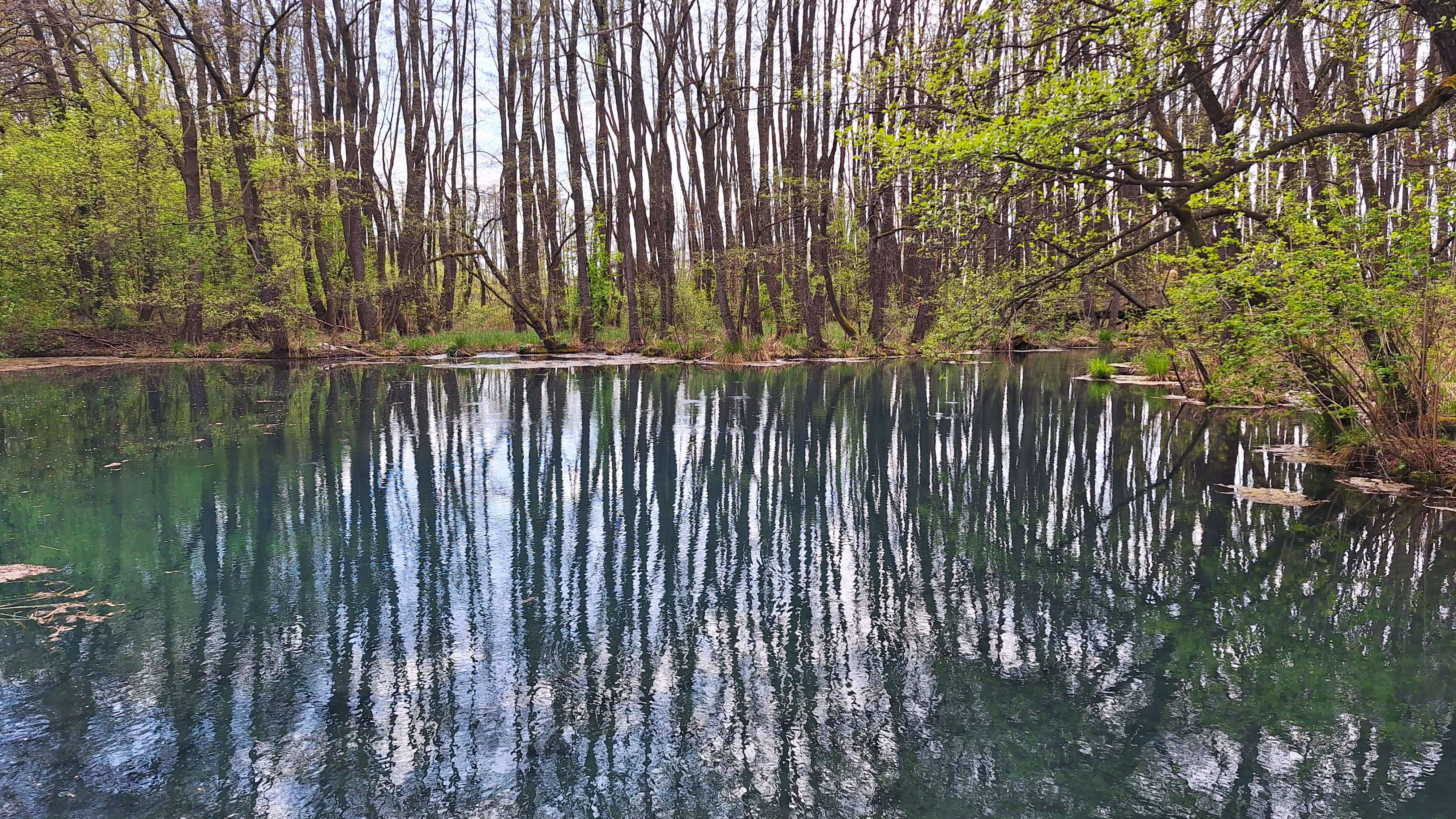 20260406_142557.jpg