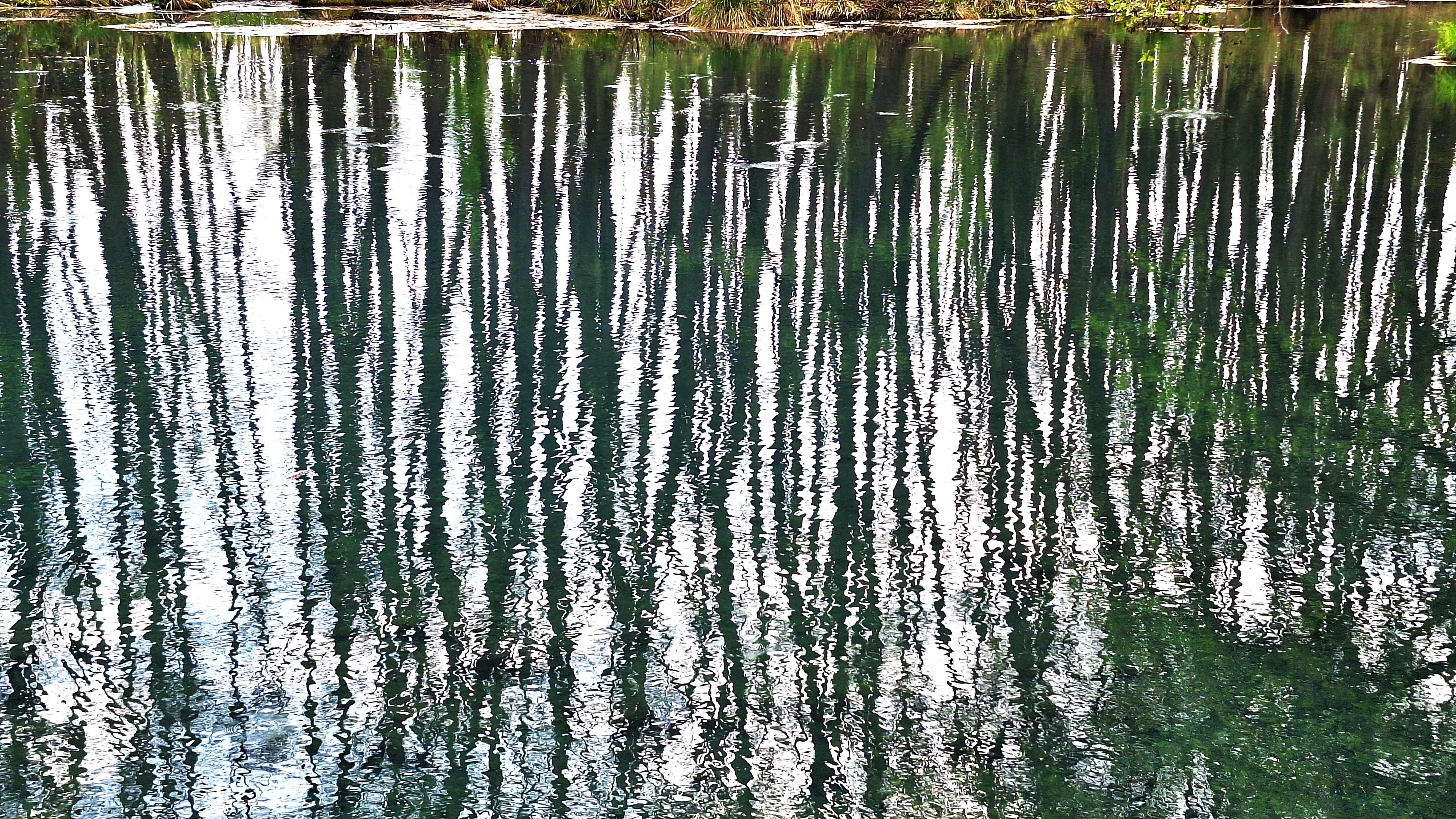 20260406_142601.jpg