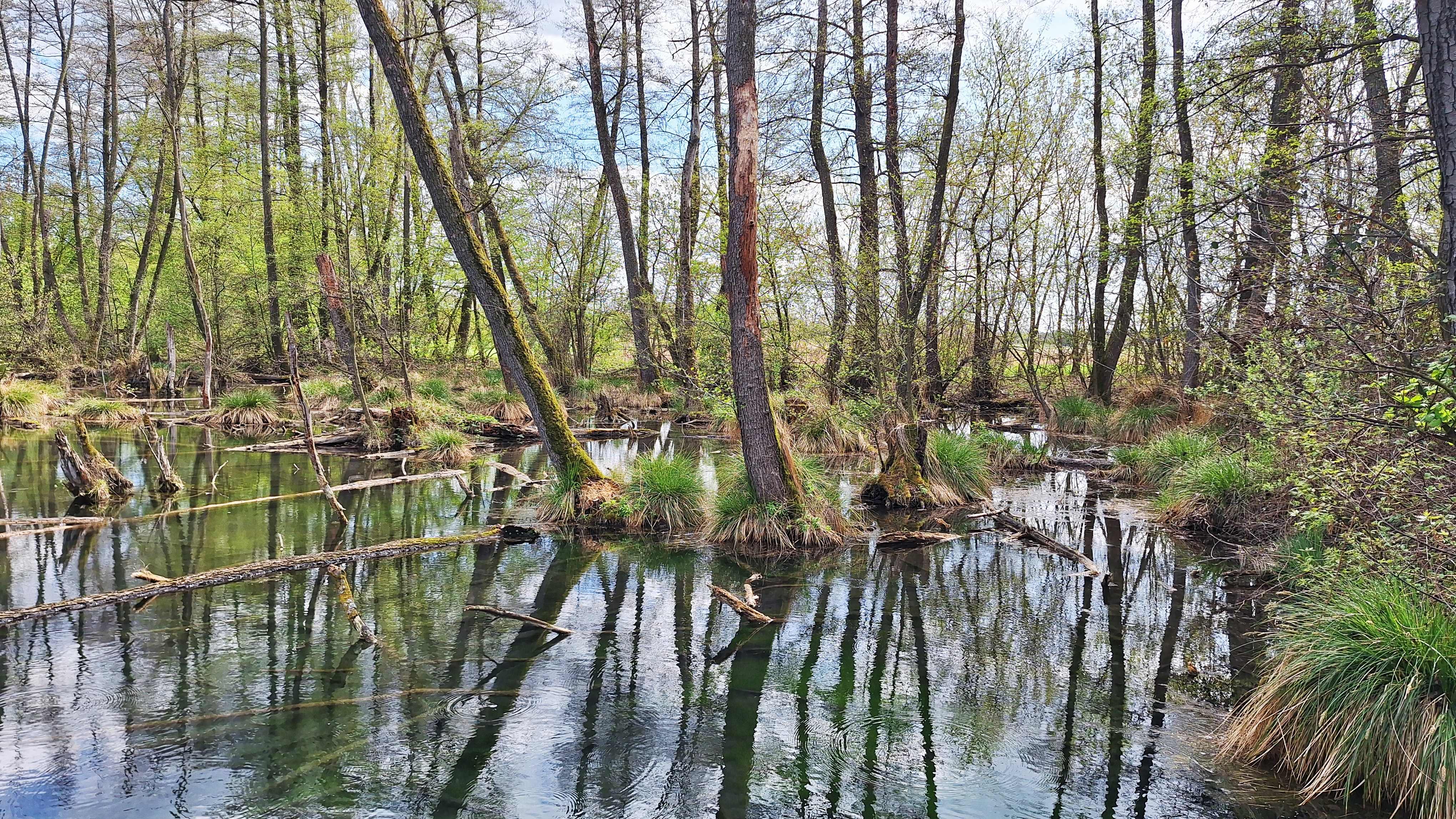 20260406_145840.jpg