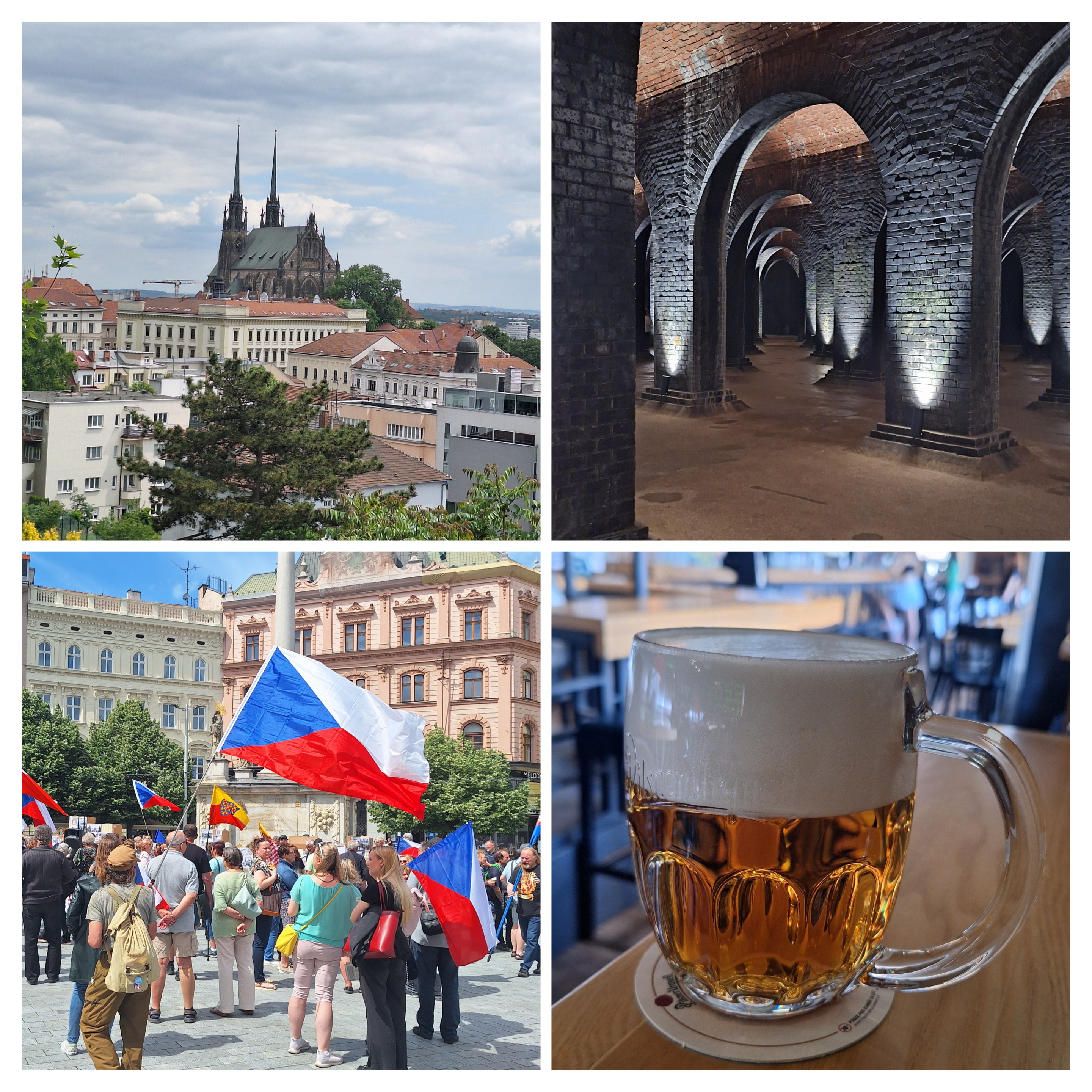 20260522_155942-collage.jpg