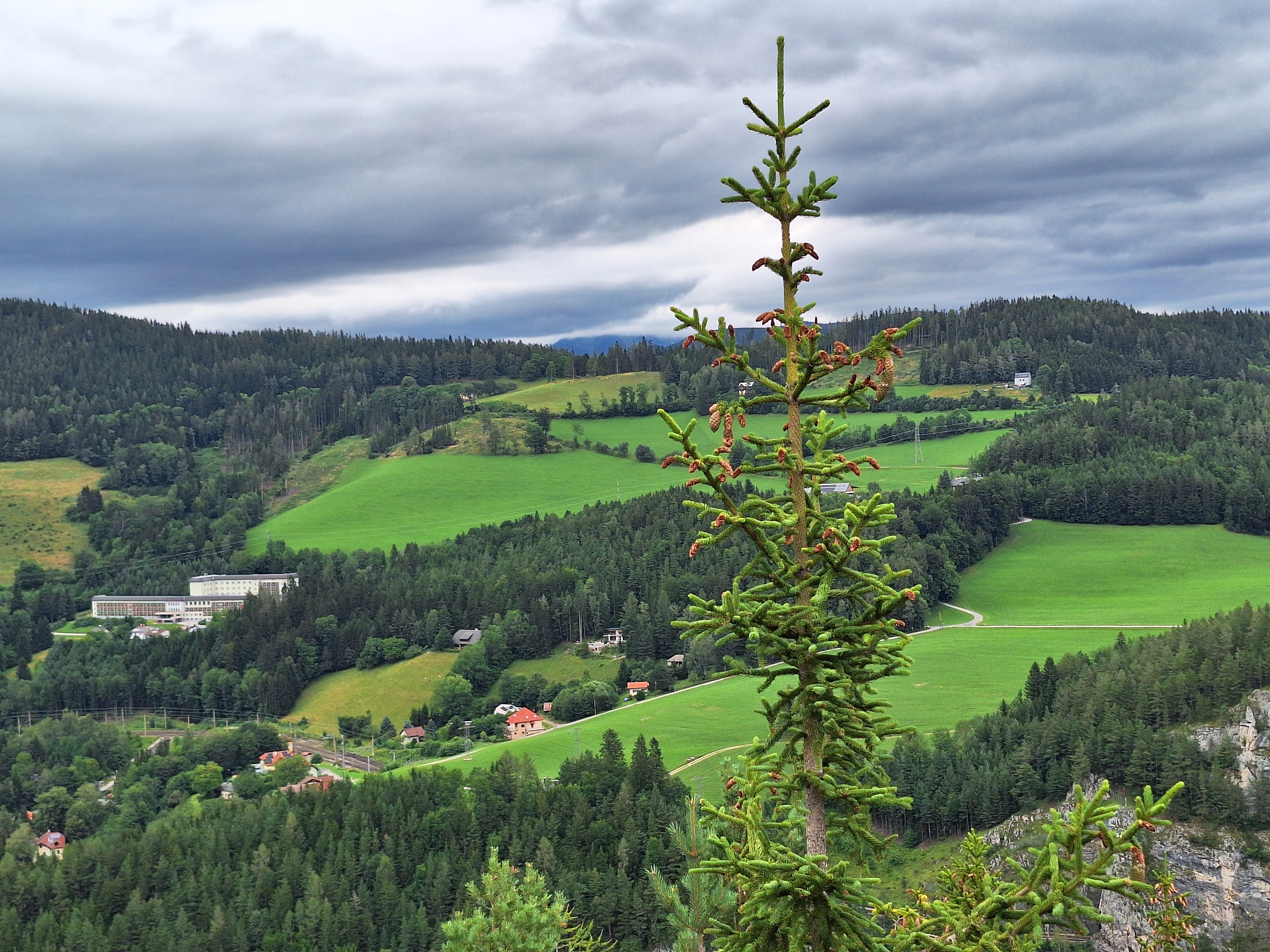 doppelreiter_kogel_4.jpg