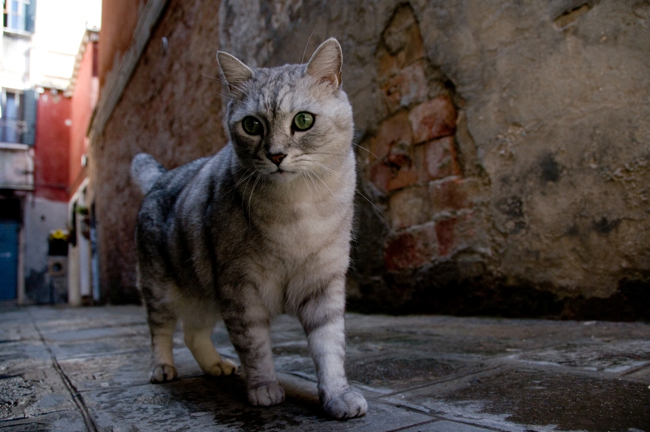 nationalgeographic_1277875.jpg