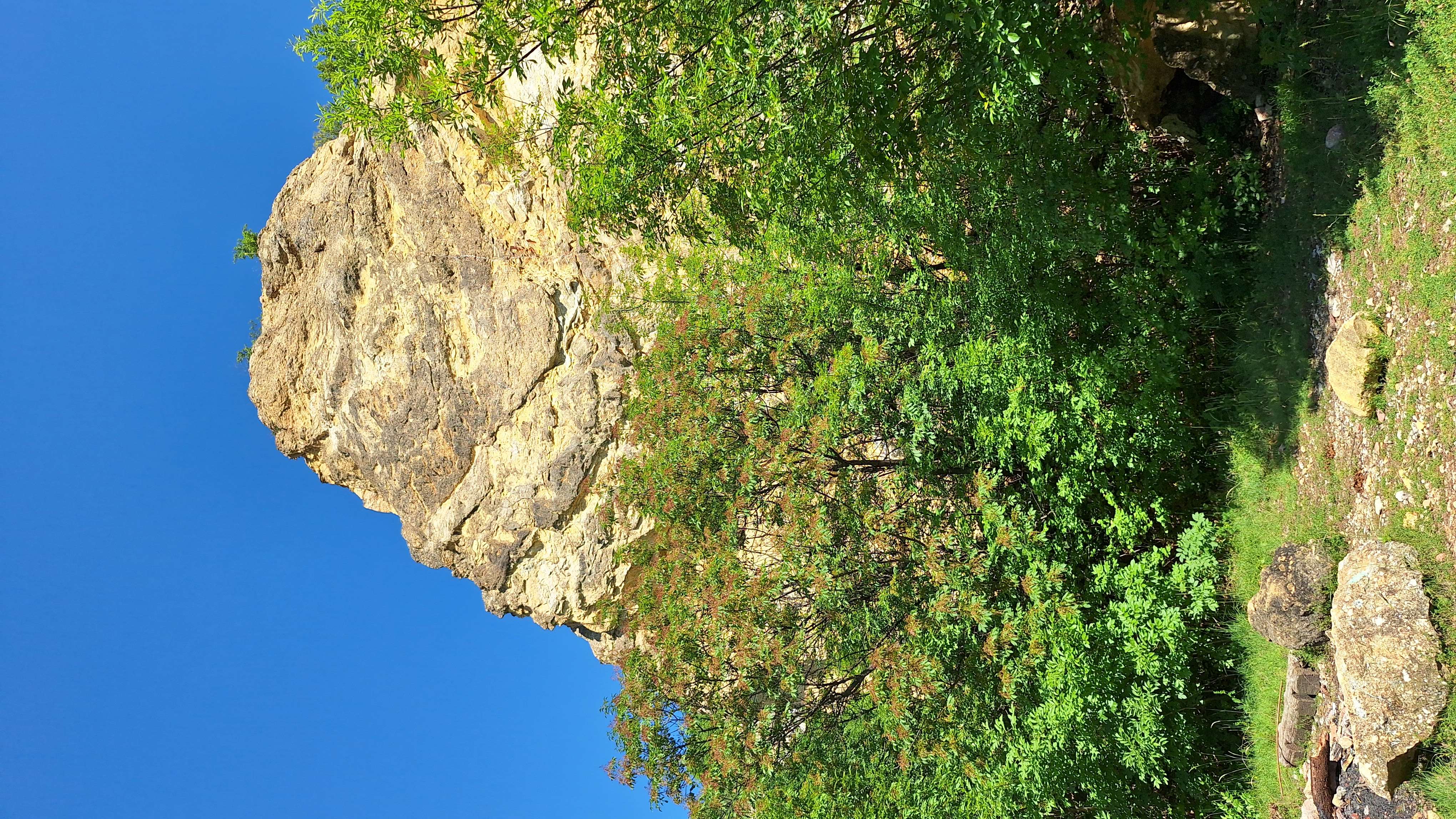 roka-hegy_4.jpg