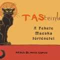 Steinlen: A Fekete Macska történetei