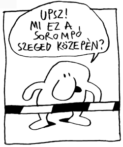 Marabu_reszlet1.jpg