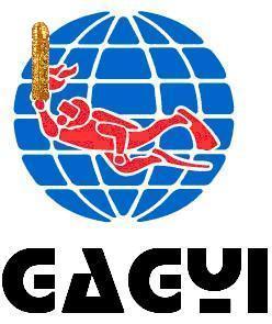 Gagyi logo.JPG