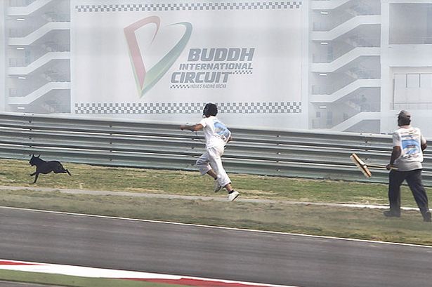 a-dog-runs-on-the-track-during-the-practice-session-for-the-indian-formula-one-grand-prix-pic-getty-images-991058288.jpg