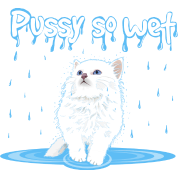 pussy-so-wet.png