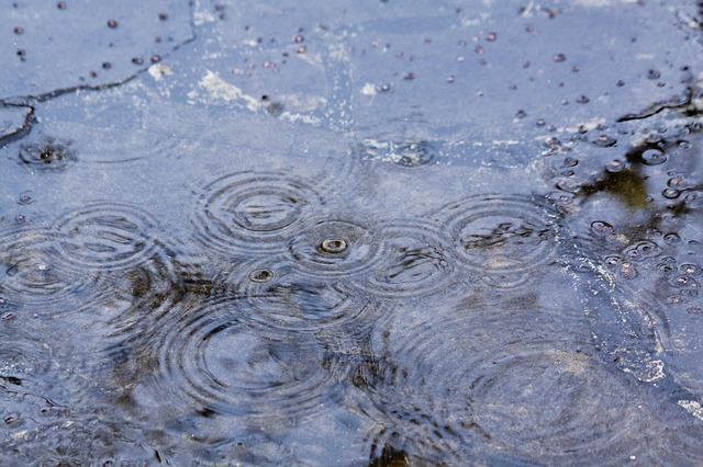 rain-65484_640.jpg