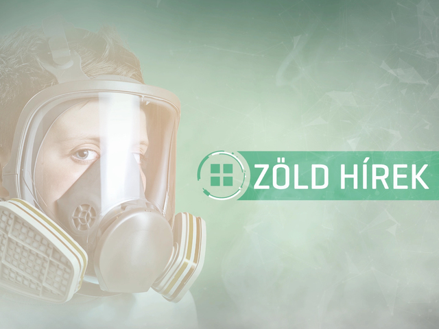 Zöld Hírek az RTL Híradóban