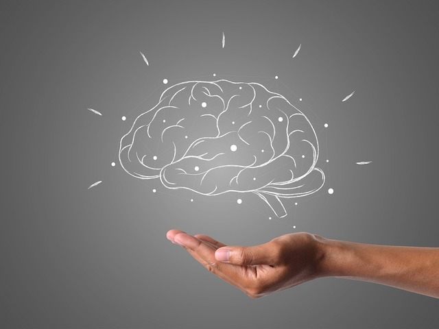 A változó éghajlat befolyásolta az ember testének és agyának méretét