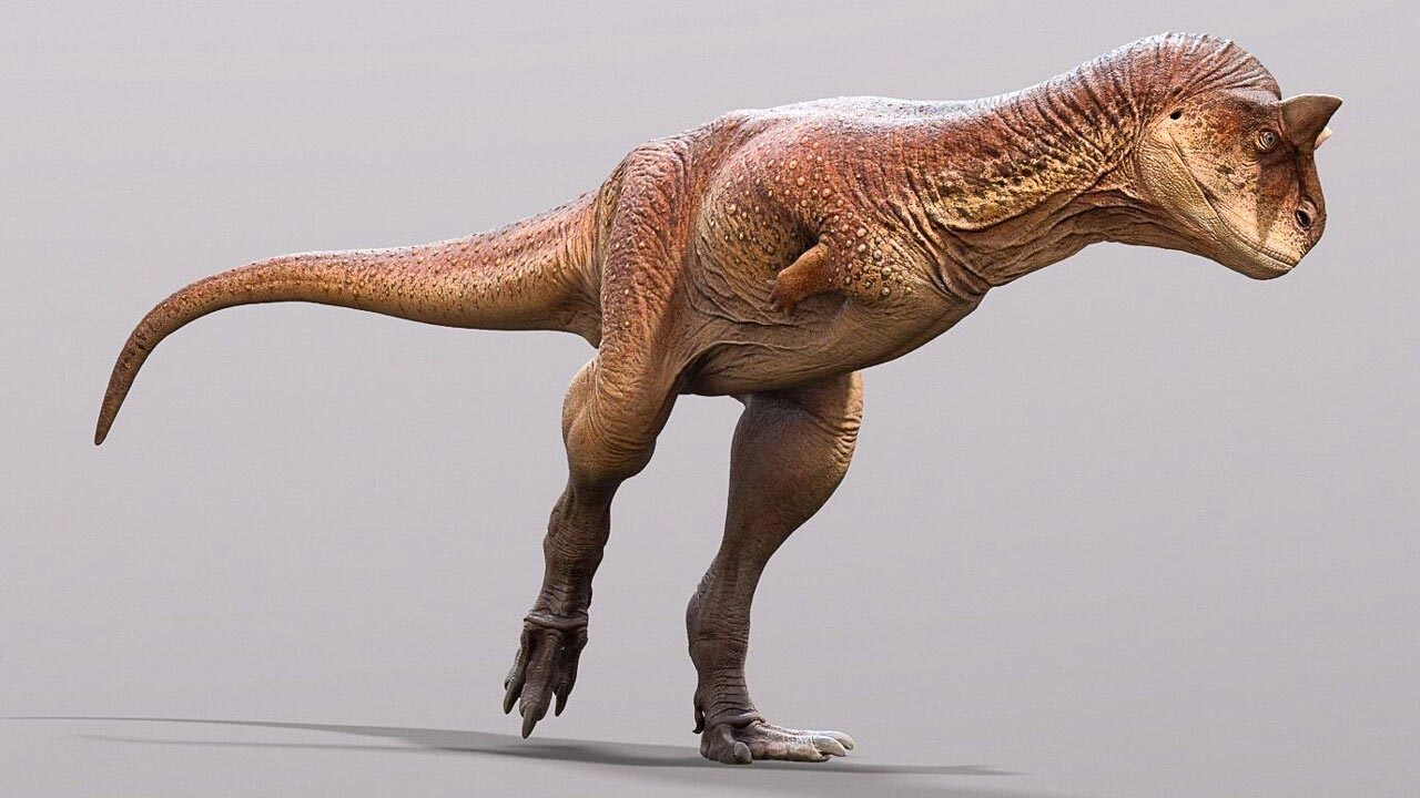 carnotaurus-reconstruction.jpg