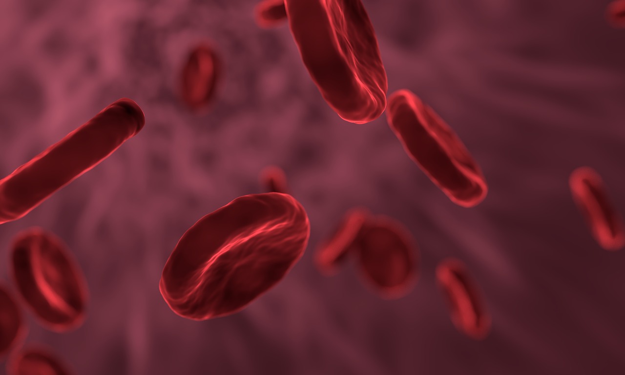 red-blood-cells-3188223_1280.jpg