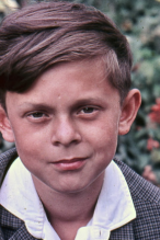 2_kis_bogar_laszlo_k.PNG