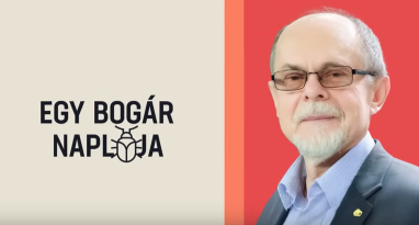 5_egy_bogar_naploja_k.png