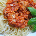 Tonhalas bolognai