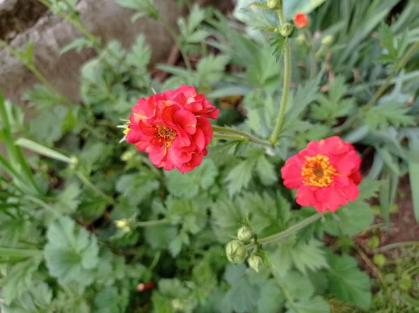 kk_img_20250507_101856.jpg