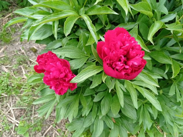 kk_img_20250517_085139.jpg