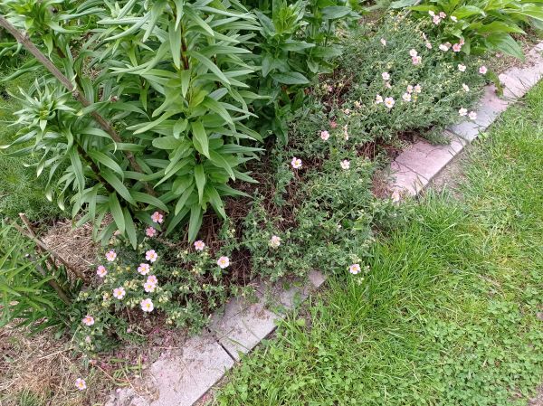 kk_img_20250518_132053.jpg