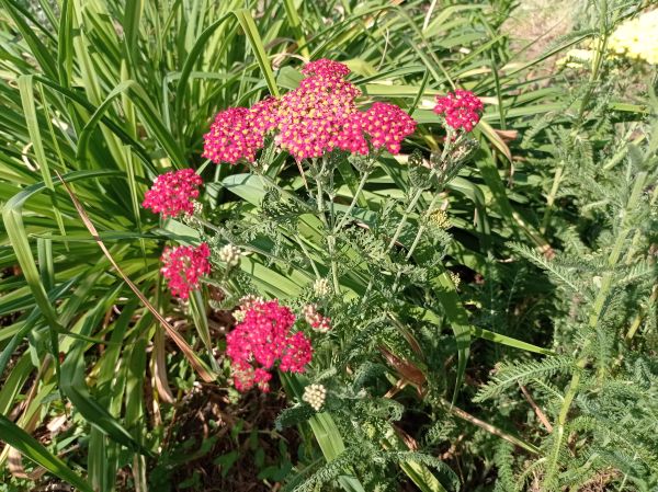kk_img_20250616_161942.jpg