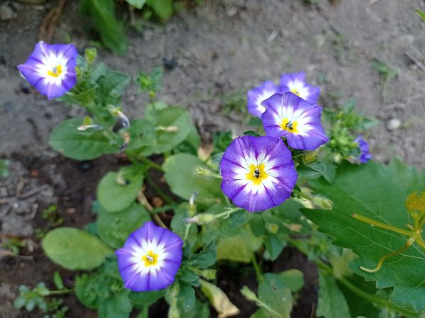 kk_img_20250630_070418.jpg
