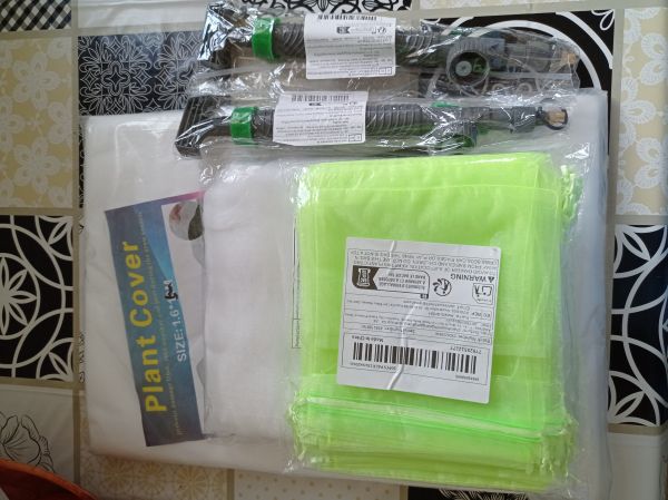 kk_img_20250725_125526.jpg