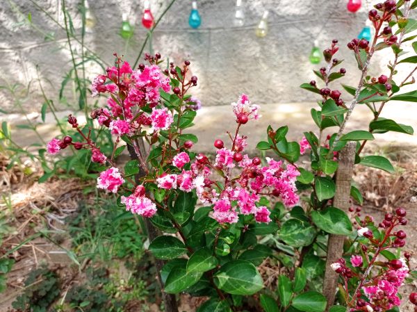 kk_img_20250804_141743.jpg